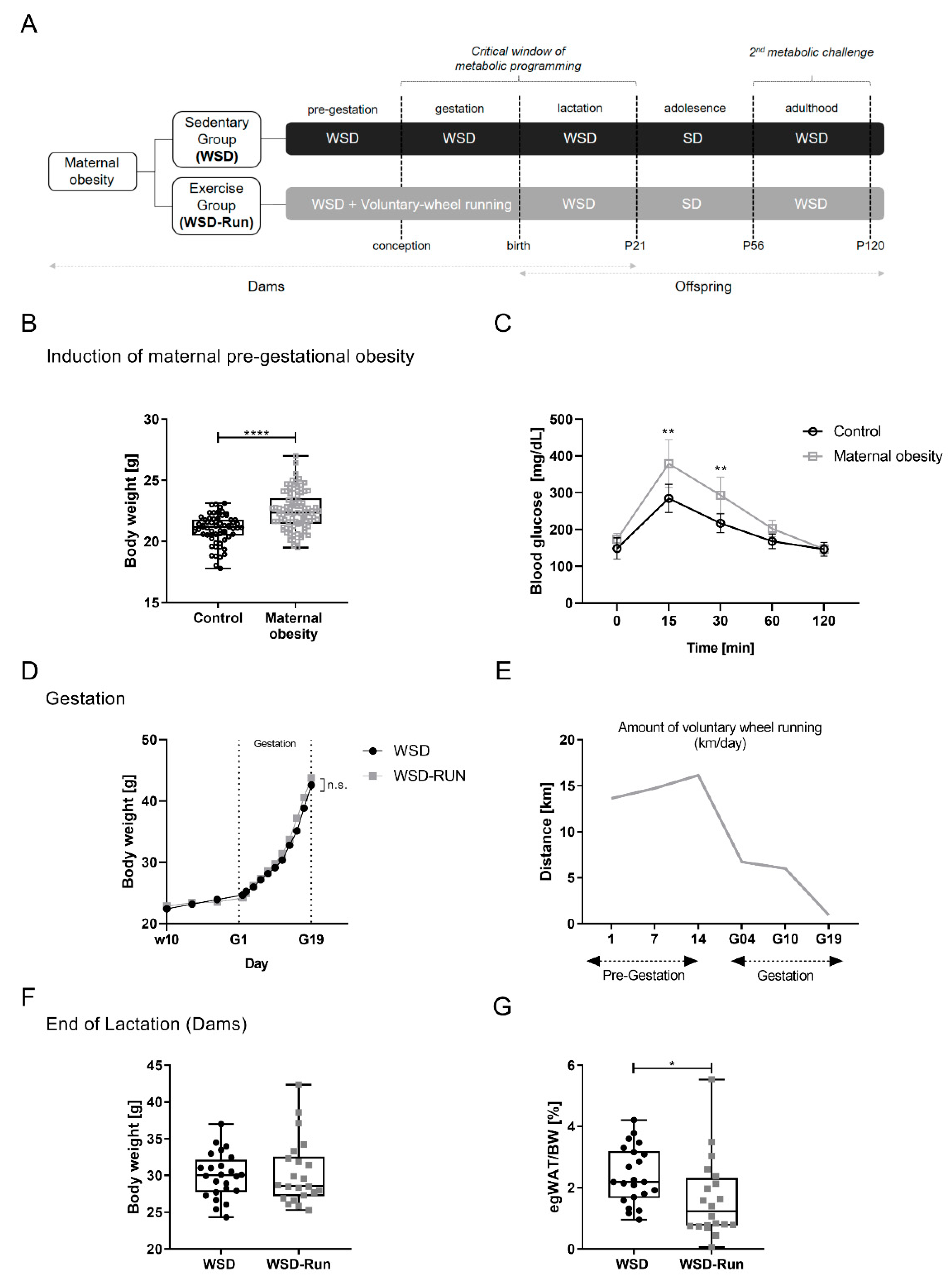 Cells 10 01247 g001 Cells 10 01247 g001