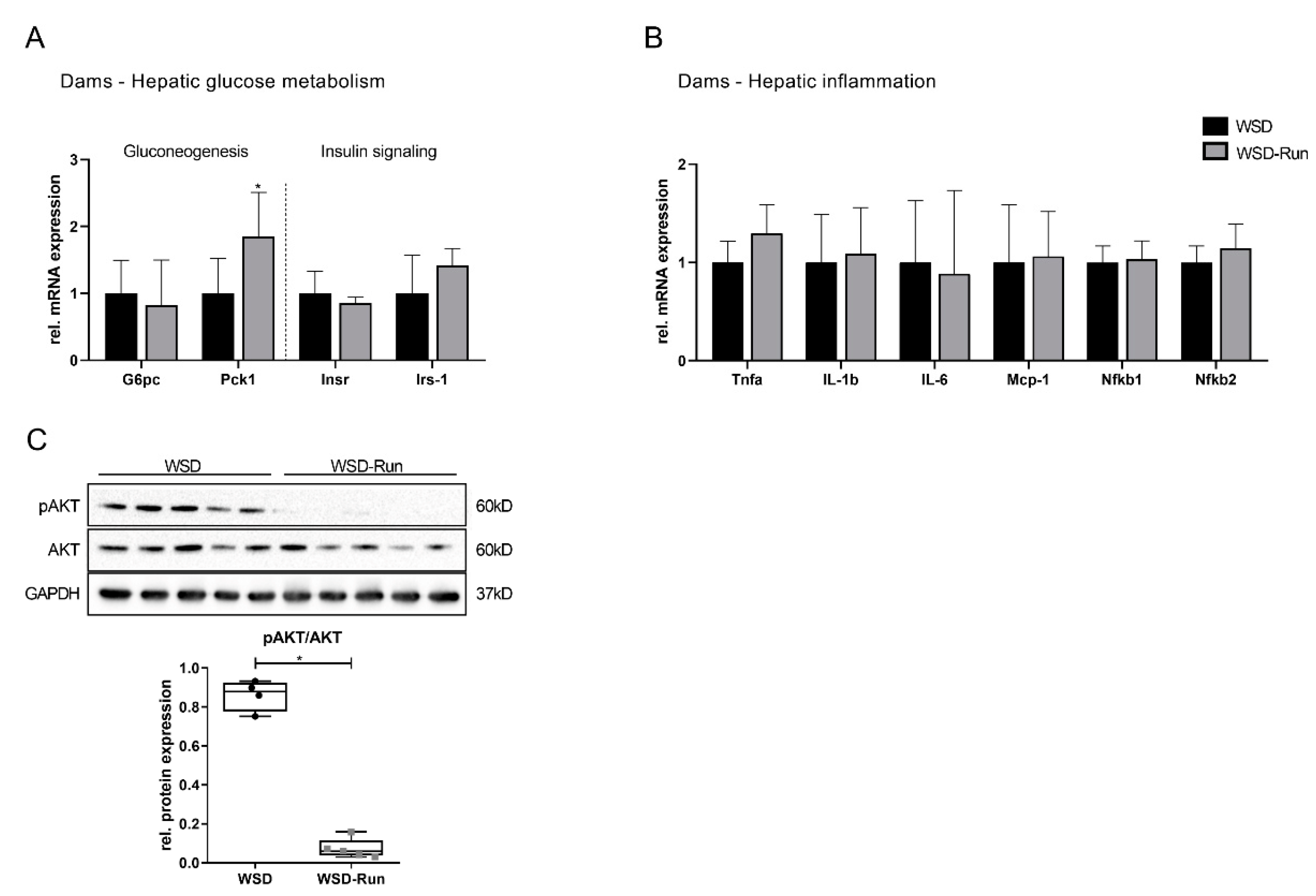 Cells 10 01247 g003 Cells 10 01247 g003