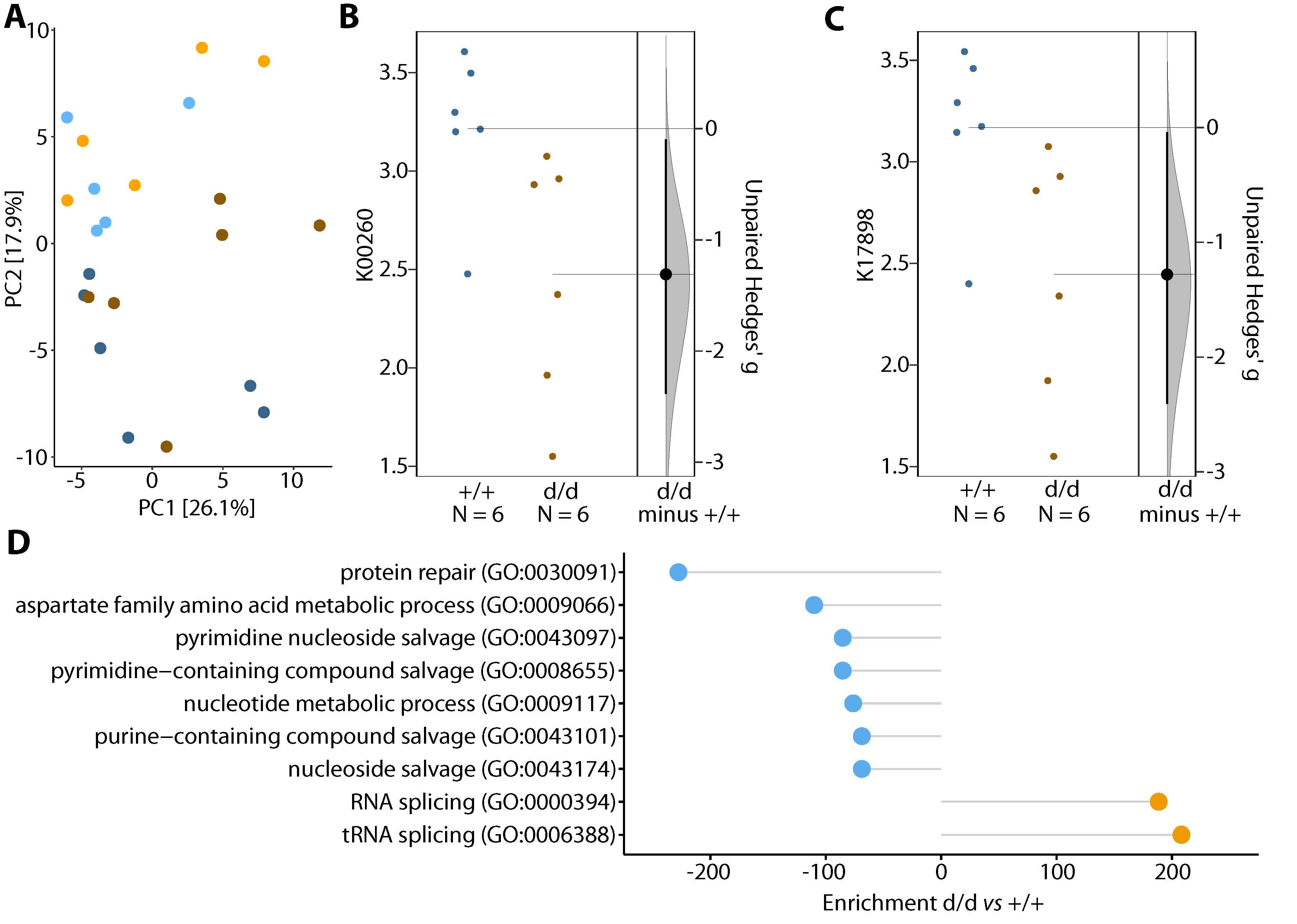 Cells 10 01292 g004 Cells 10 01292 g004