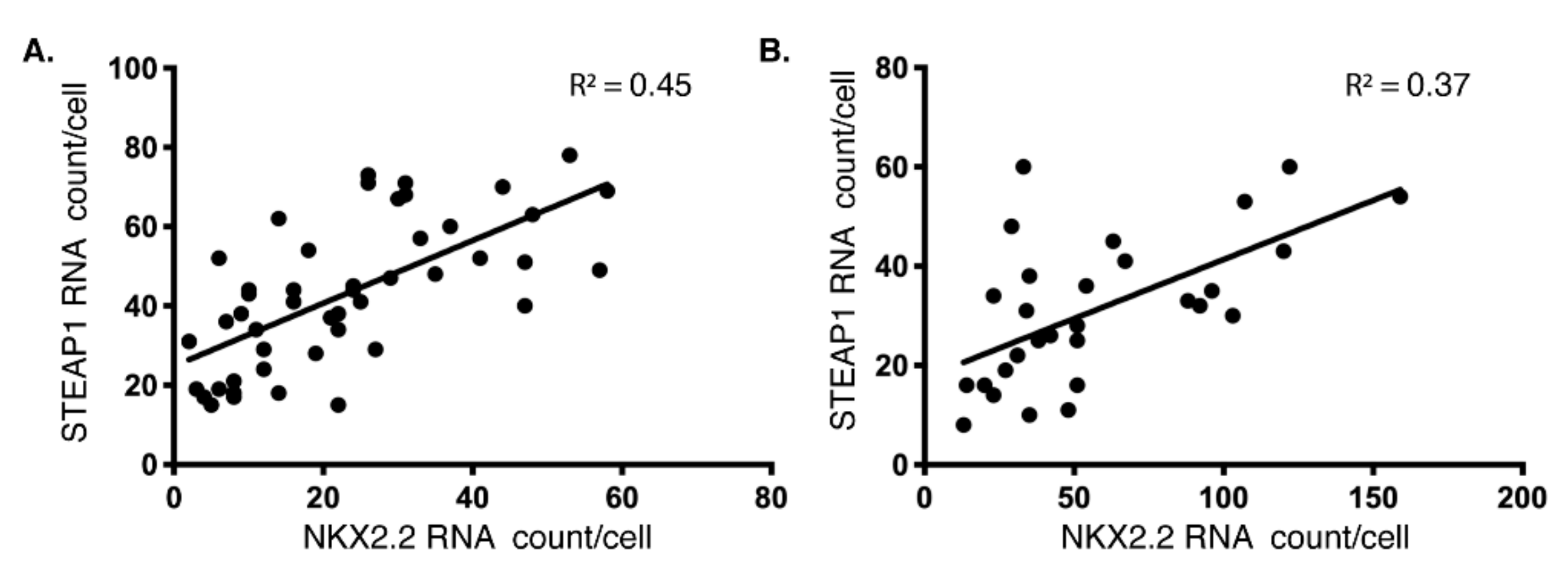 Cells 10 01300 g002 Cells 10 01300 g002