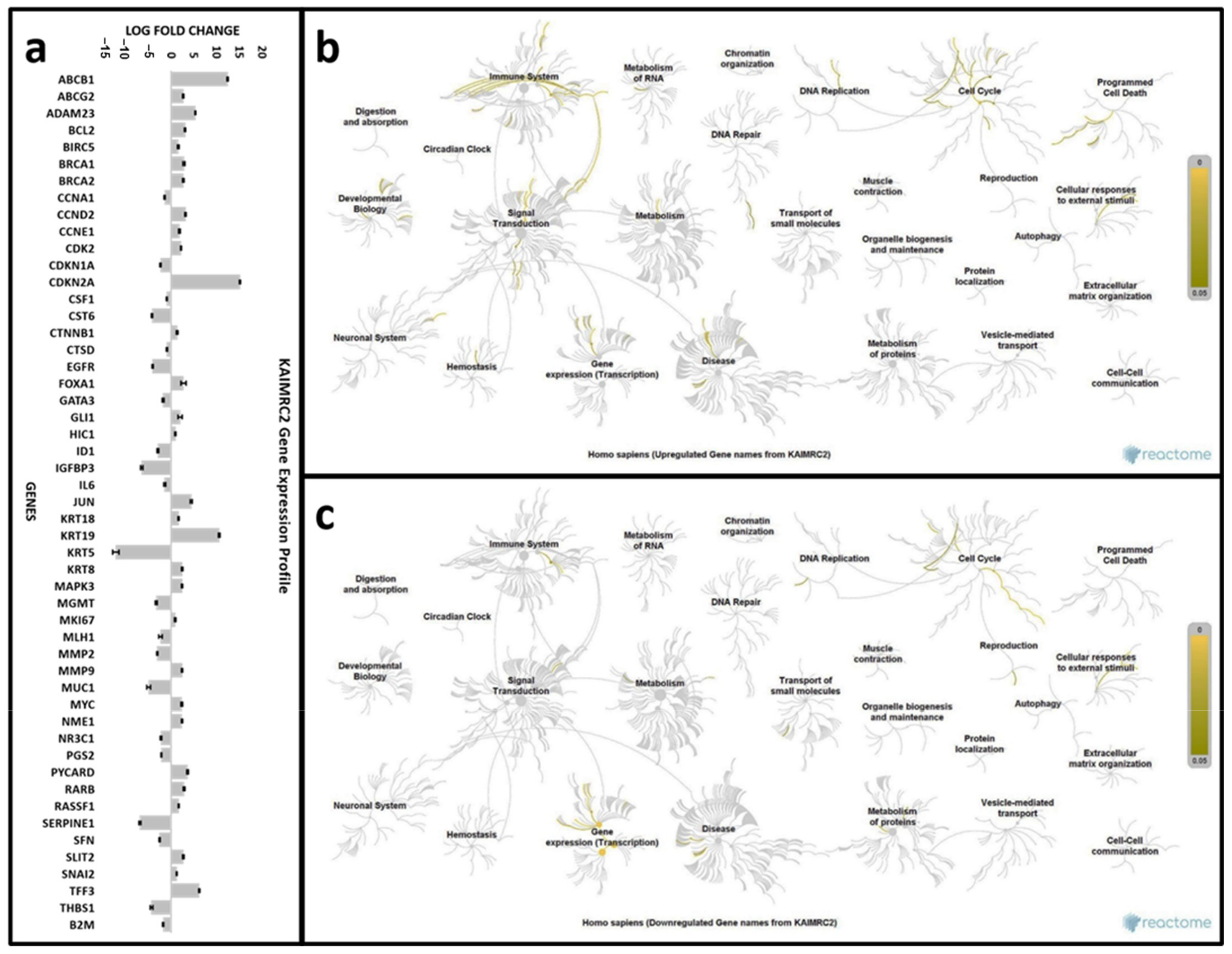 Cells 10 01303 g004 Cells 10 01303 g004