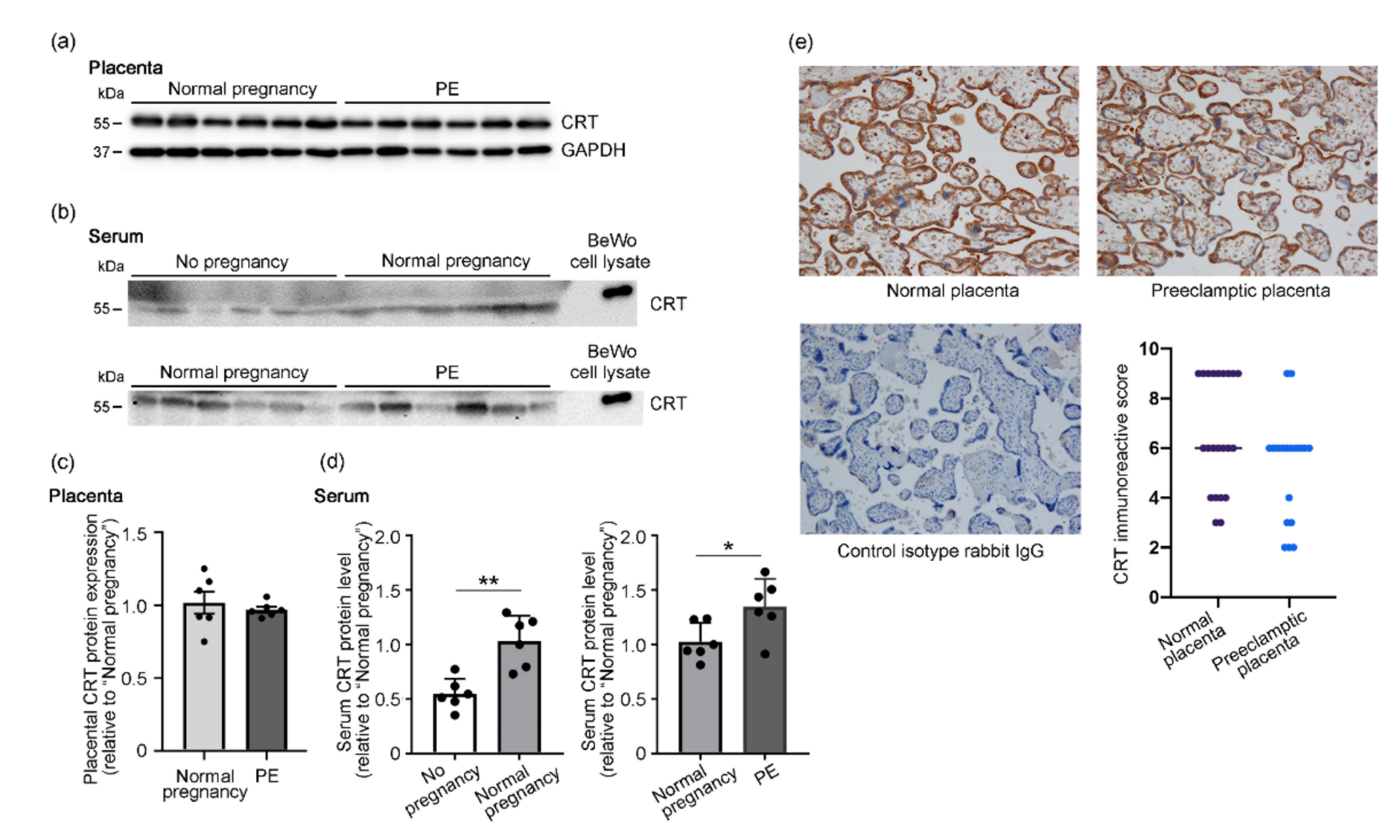 Cells 10 01305 g001 Cells 10 01305 g001
