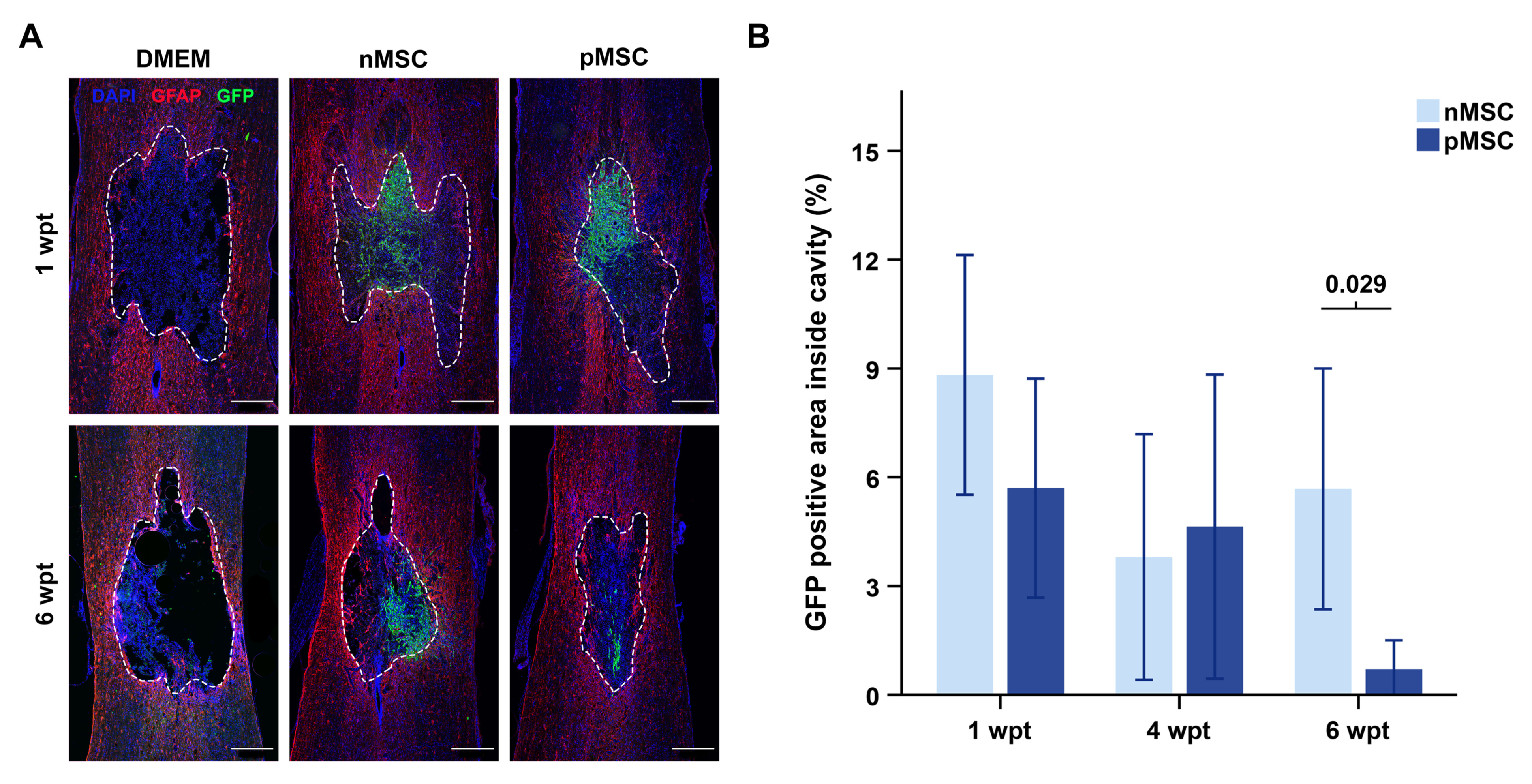 Cells 10 01316 g002 Cells 10 01316 g002