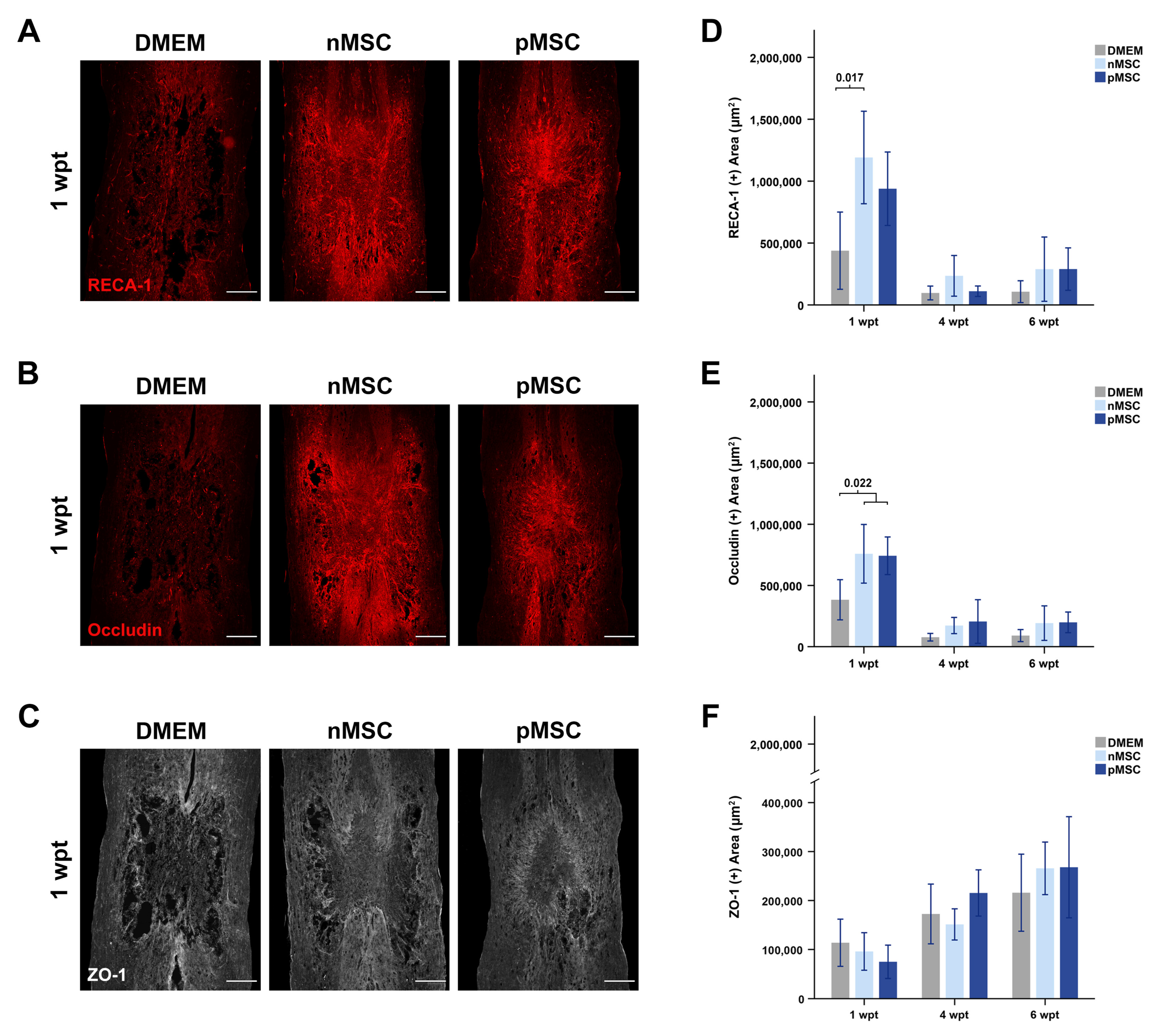Cells 10 01316 g005 Cells 10 01316 g005