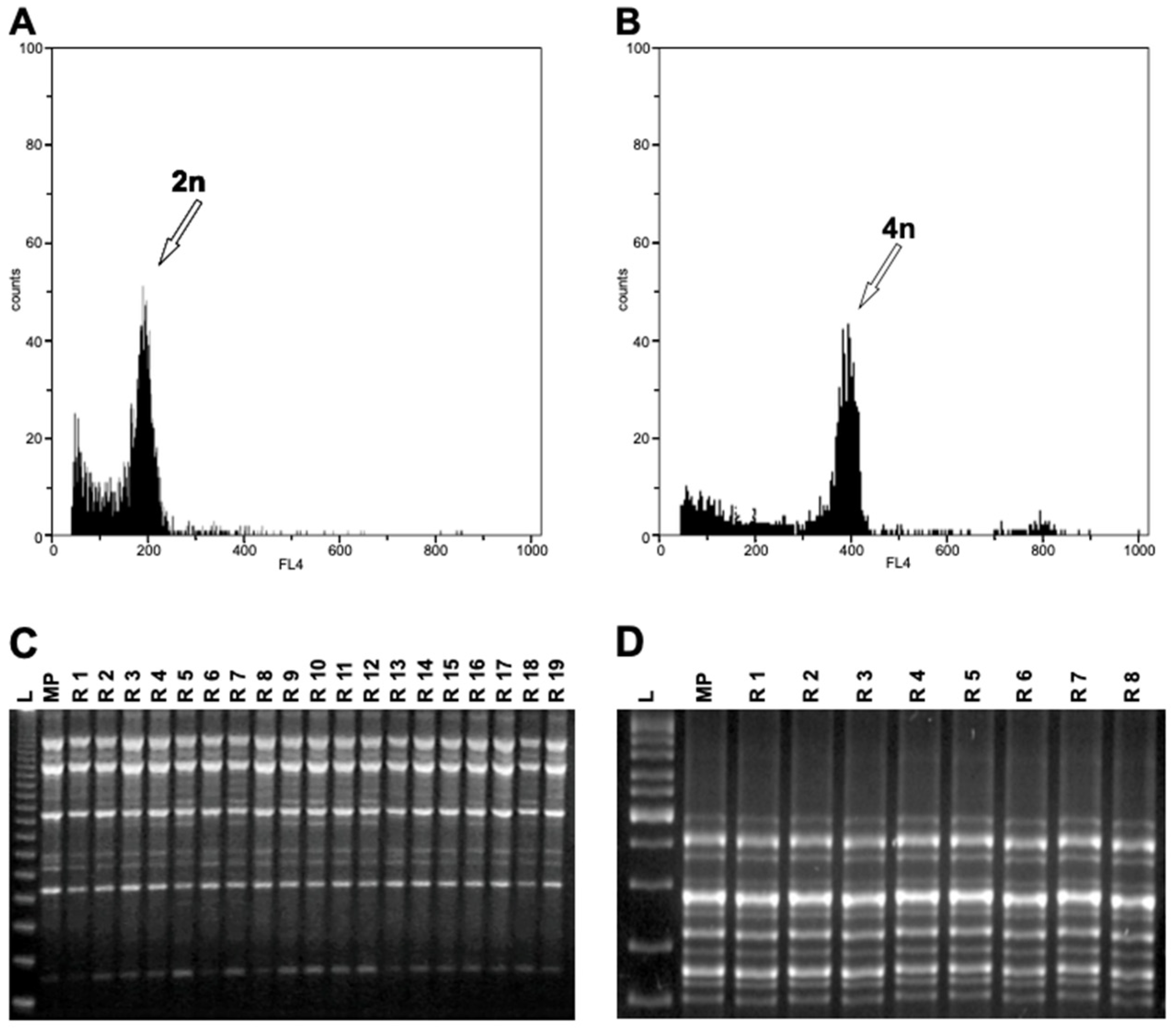 Cells 10 01336 g002 Cells 10 01336 g002