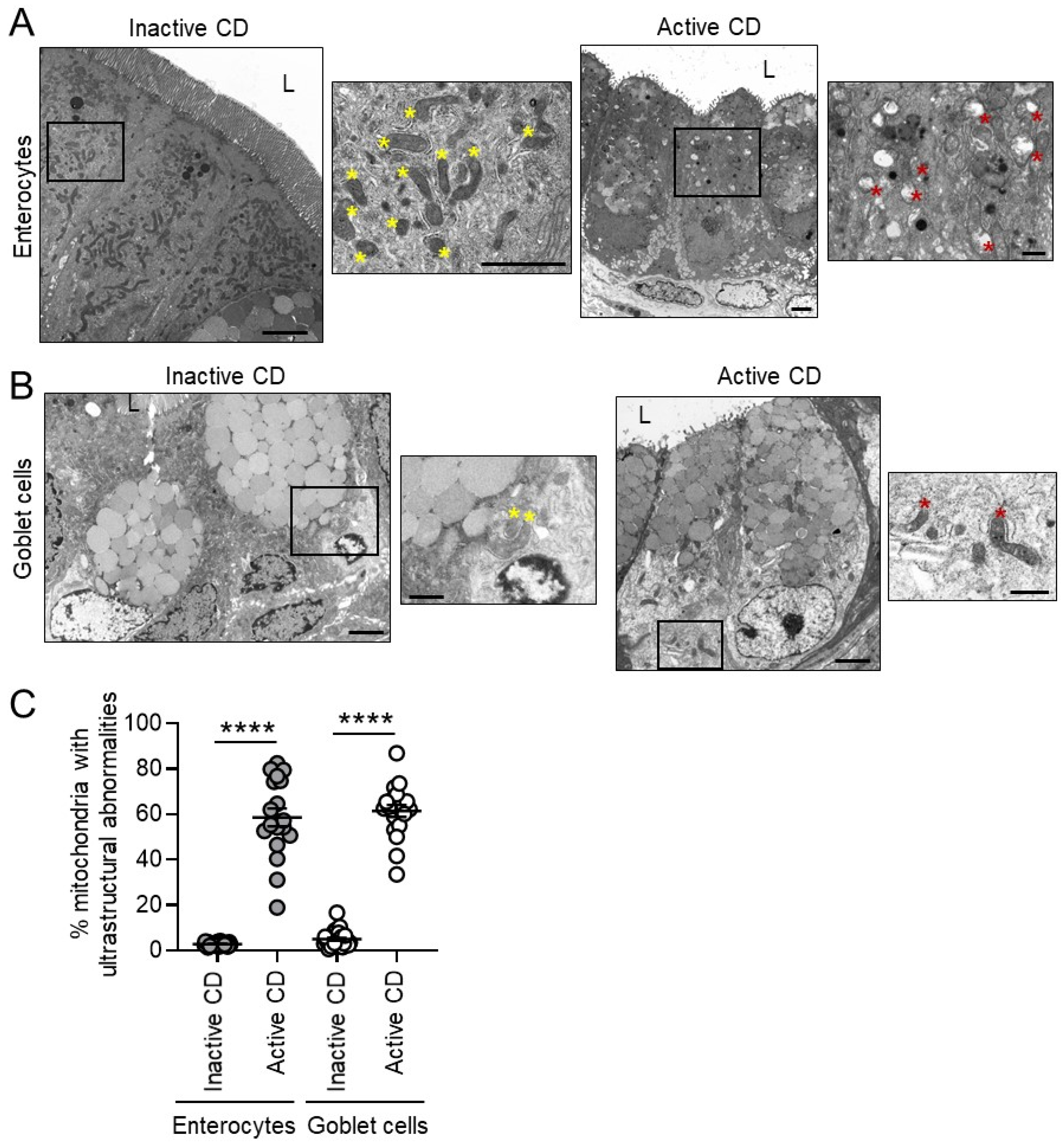Cells 10 01349 g003 Cells 10 01349 g003