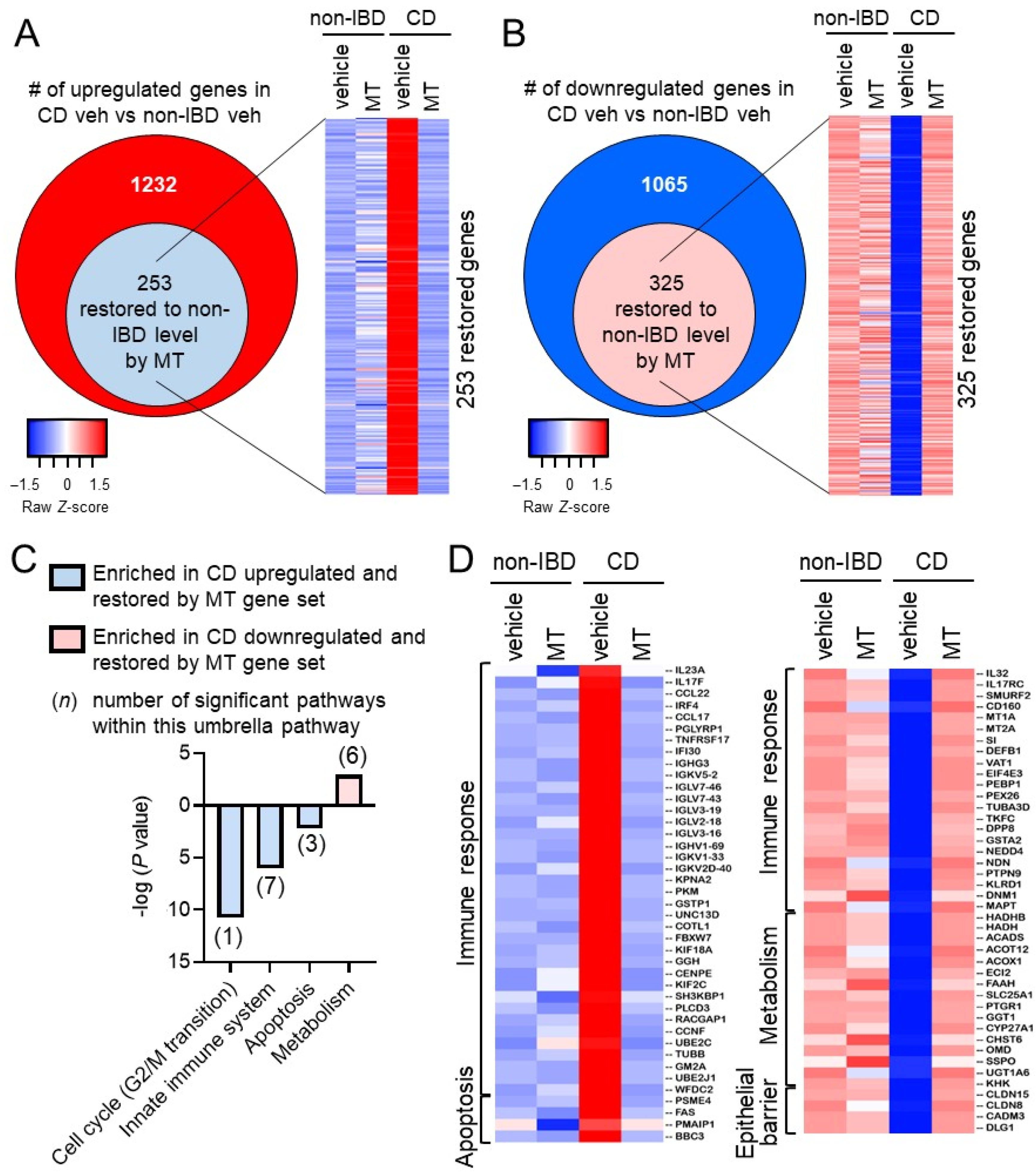 Cells 10 01349 g004 Cells 10 01349 g004