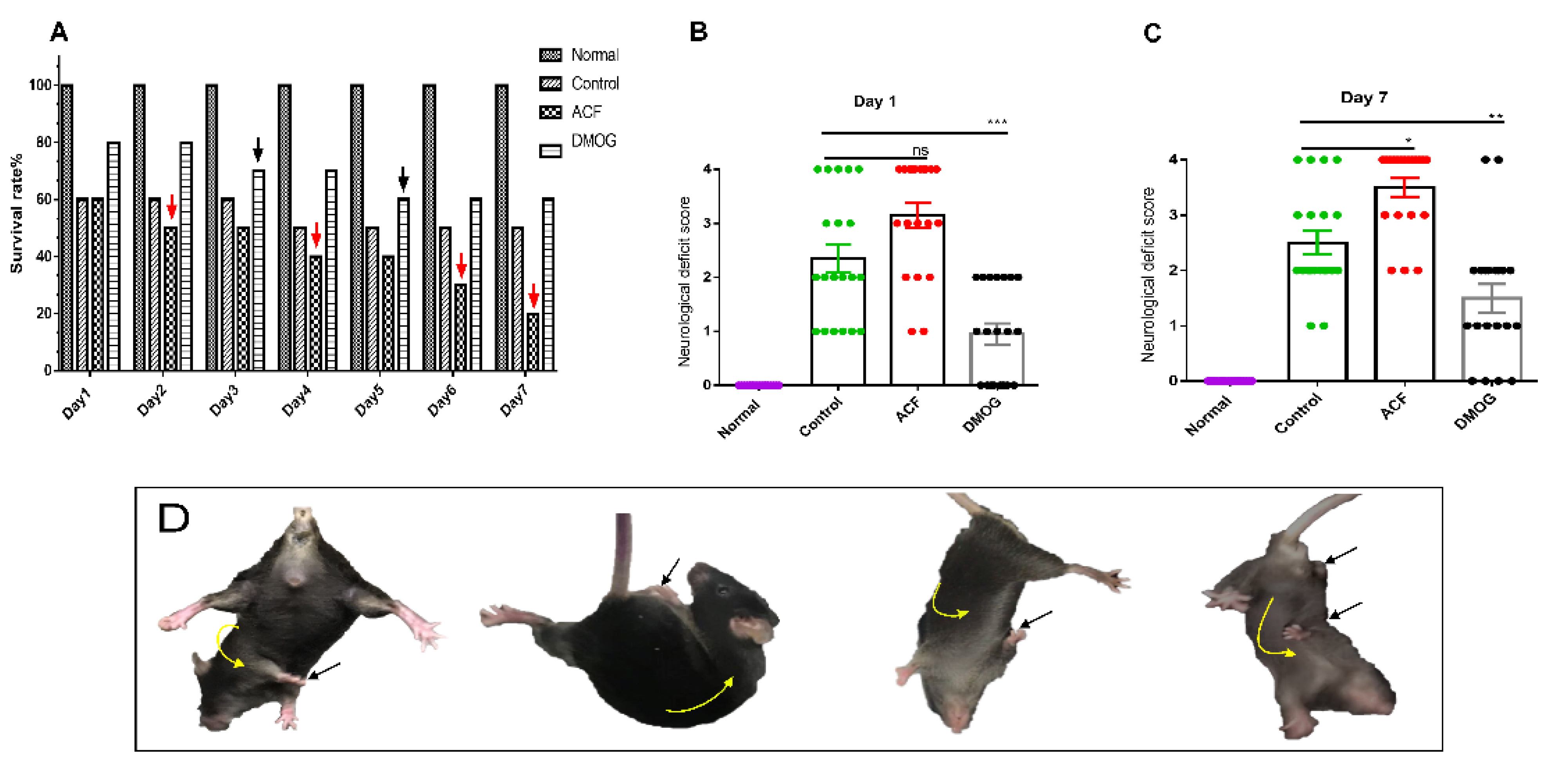 Cells 10 01359 g001 Cells 10 01359 g001