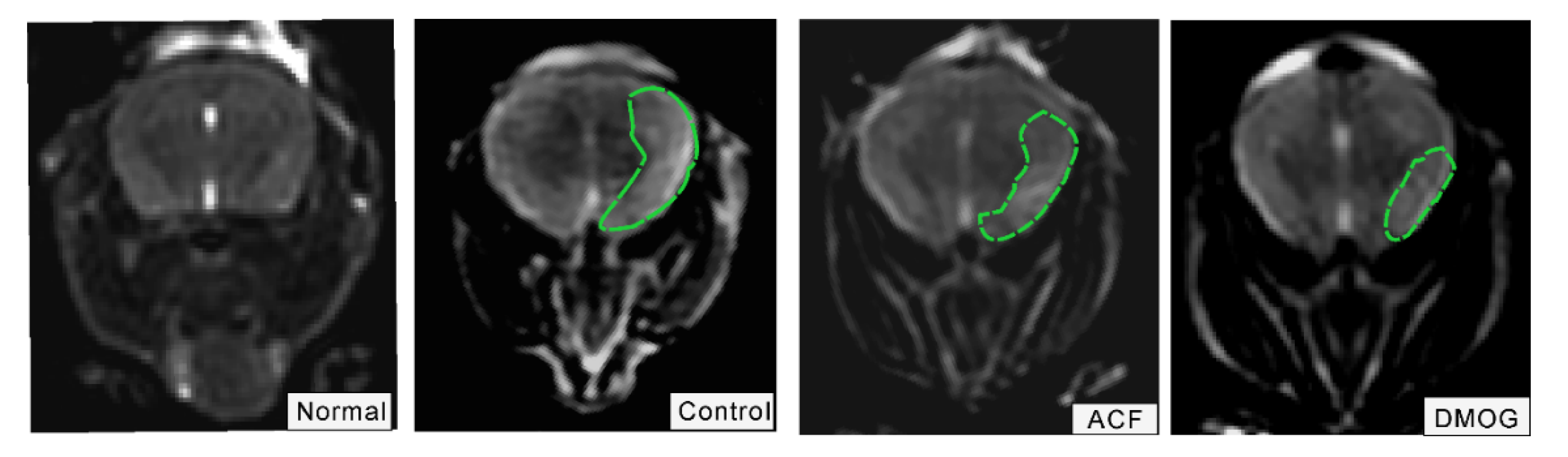 Cells 10 01359 g002 Cells 10 01359 g002
