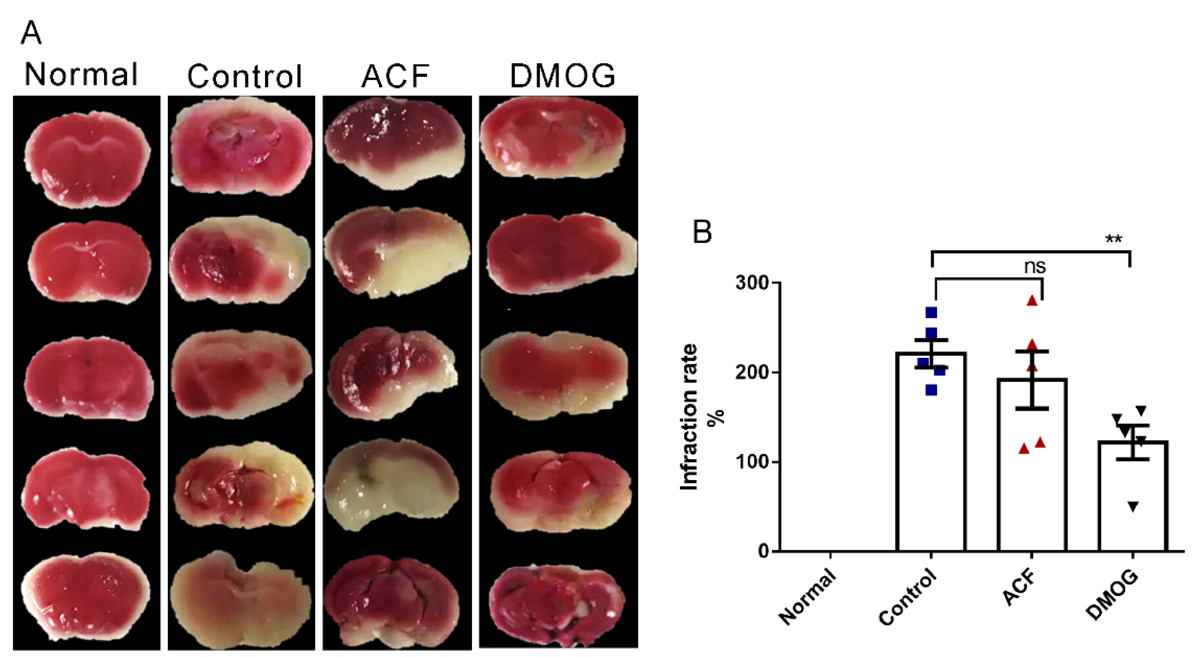 Cells 10 01359 g003 Cells 10 01359 g003