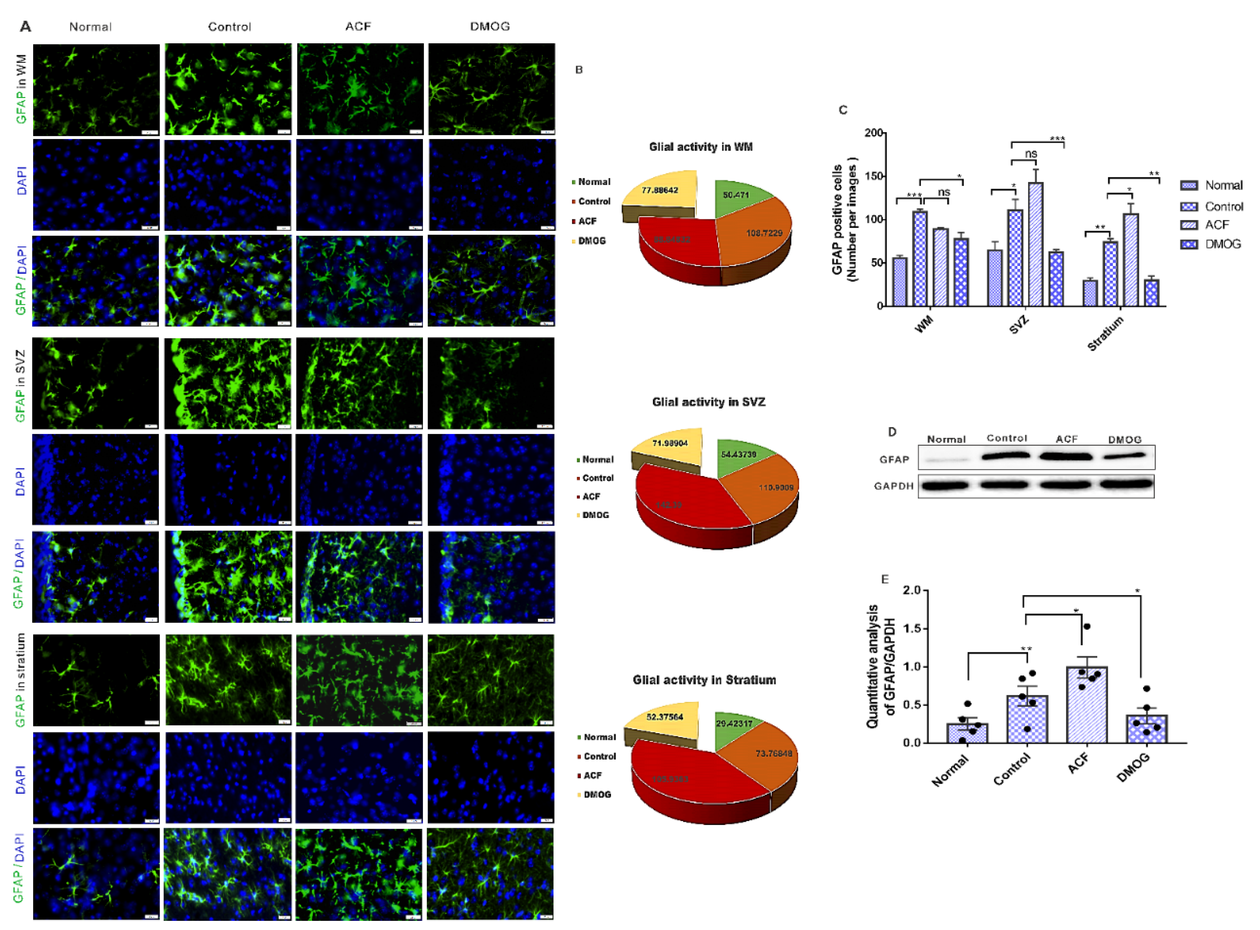 Cells 10 01359 g007 Cells 10 01359 g007