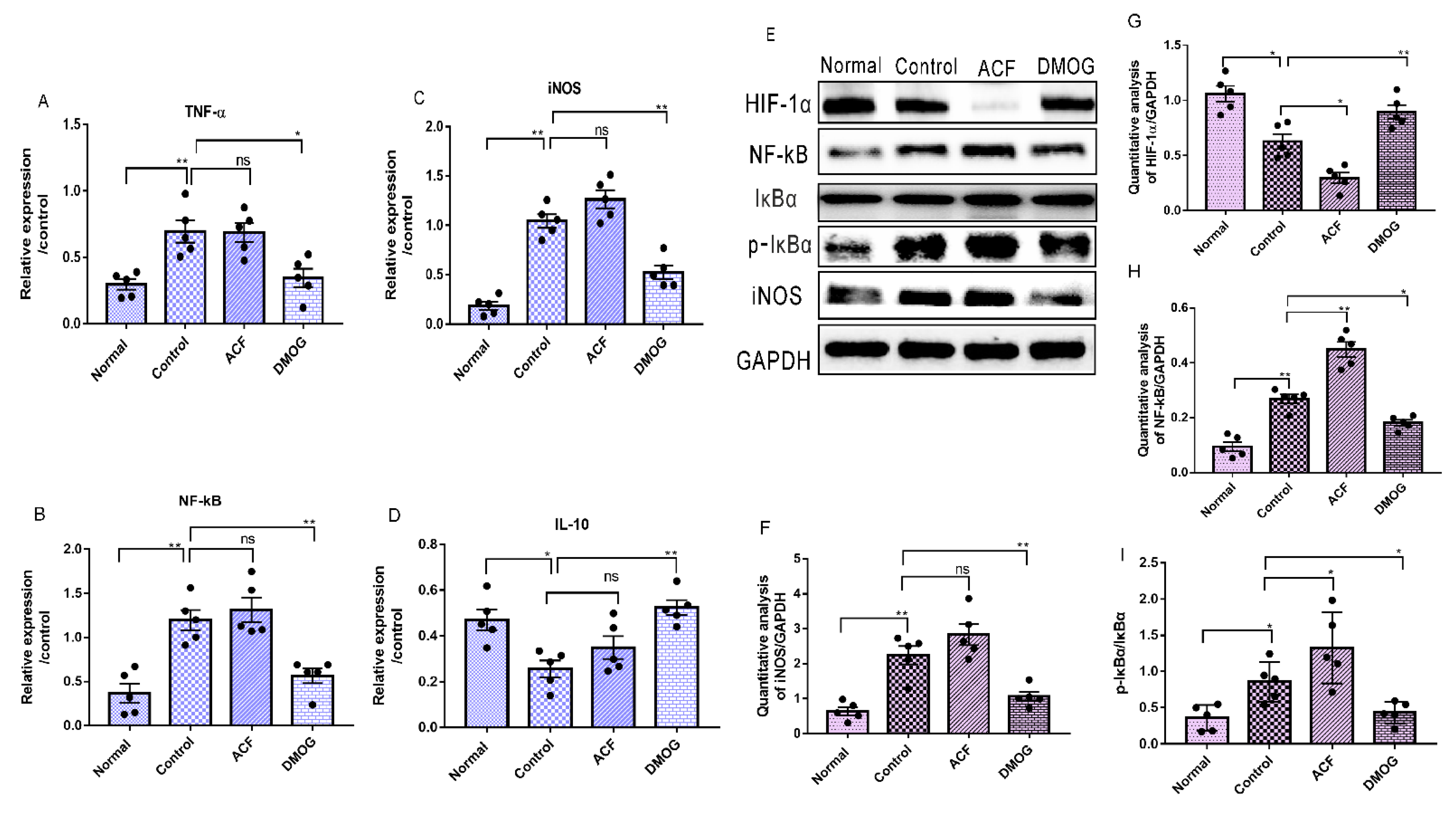 Cells 10 01359 g009 Cells 10 01359 g009