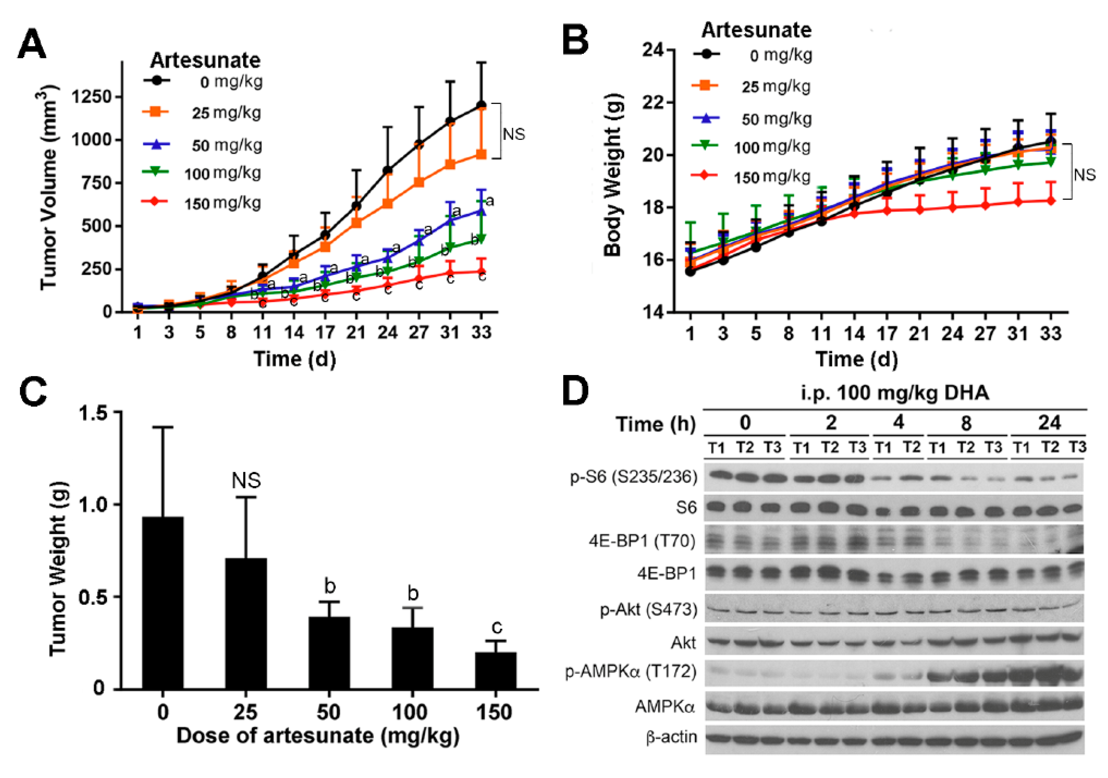 Cells 10 01363 g009 Cells 10 01363 g009