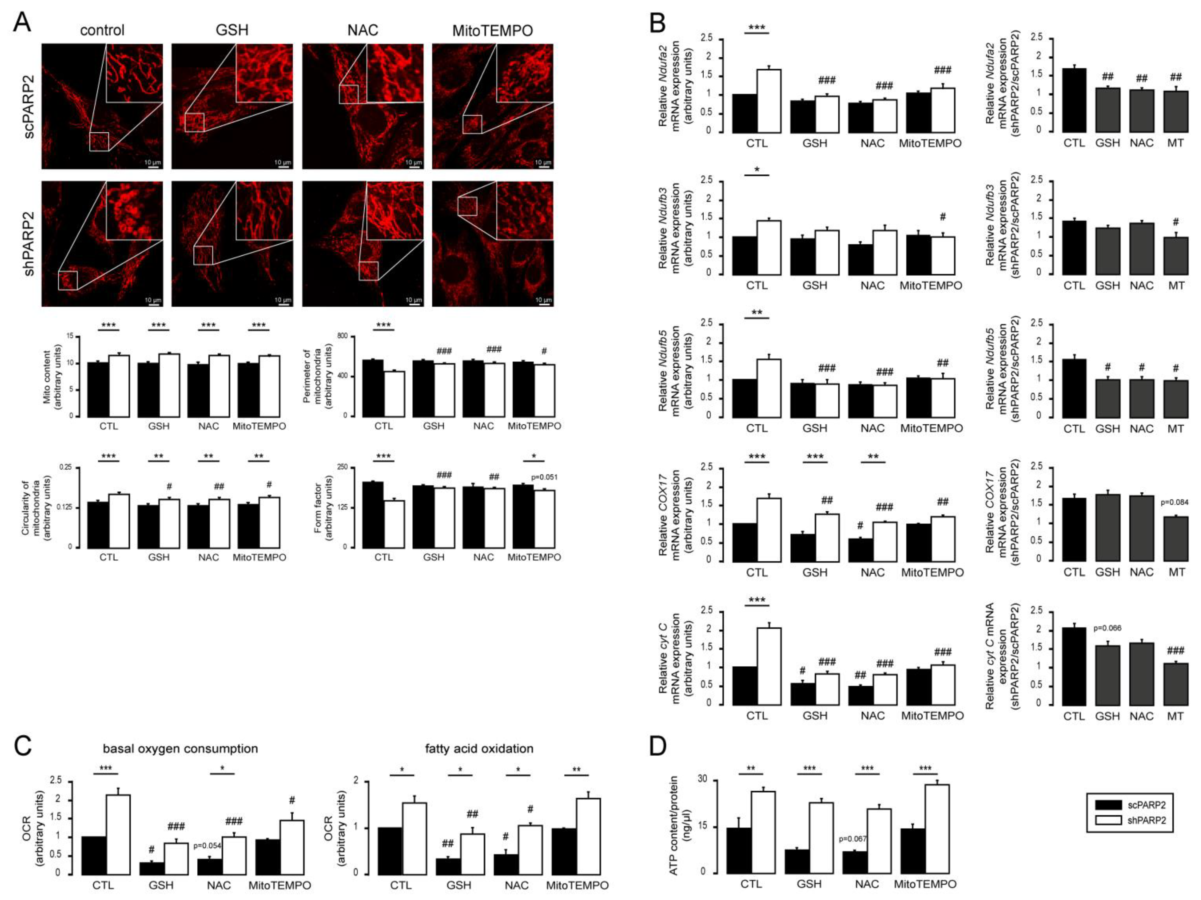 Cells 10 01387 g009 Cells 10 01387 g009