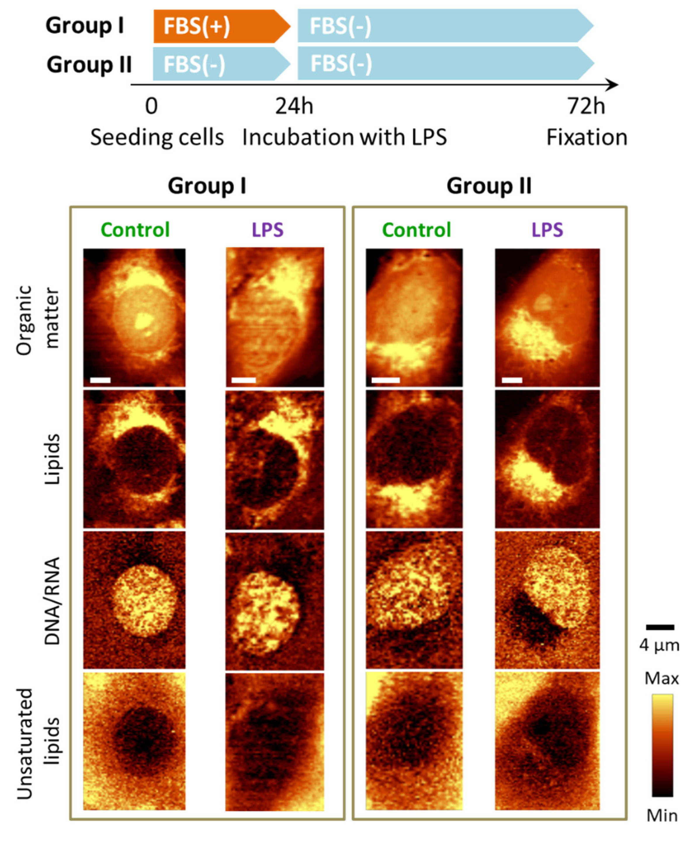 Cells 10 01403 g005 Cells 10 01403 g005