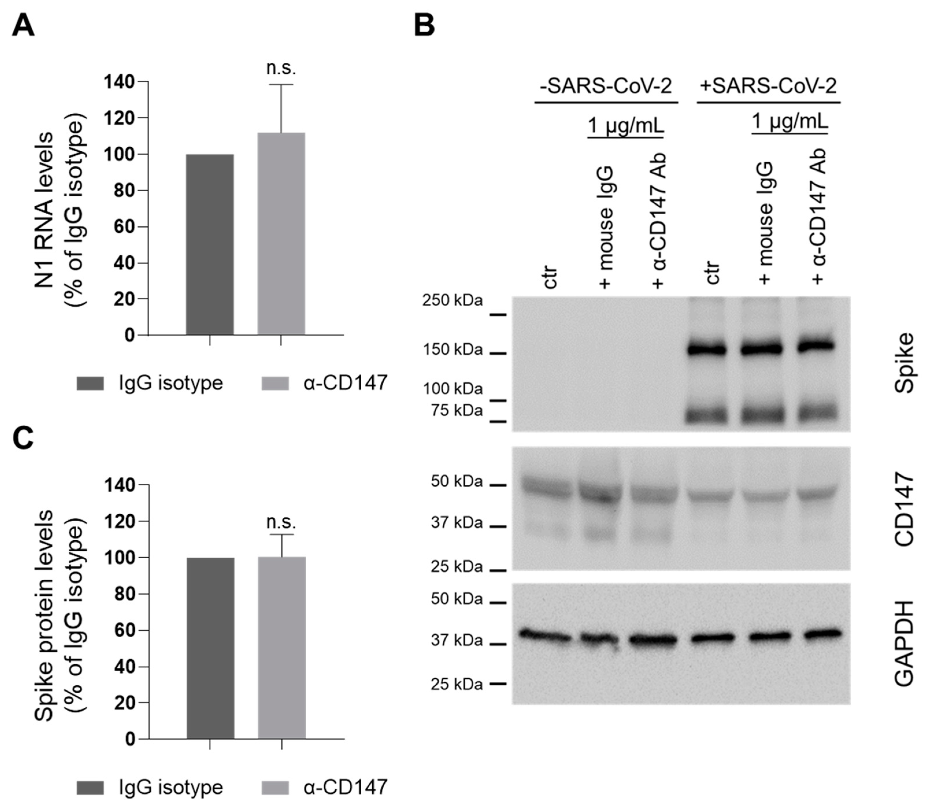 Cells 10 01434 g001 Cells 10 01434 g001