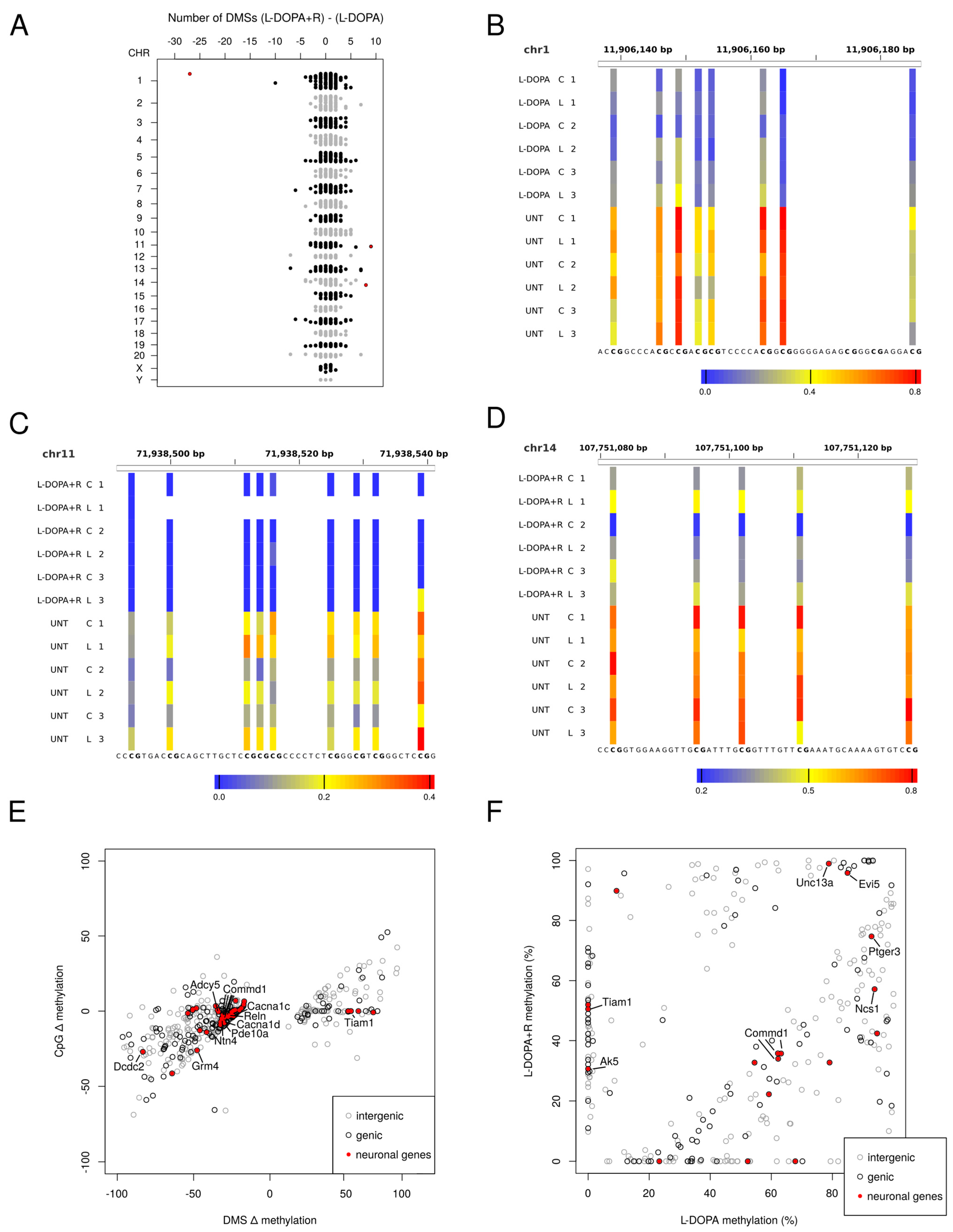 Cells 10 01442 g004 Cells 10 01442 g004