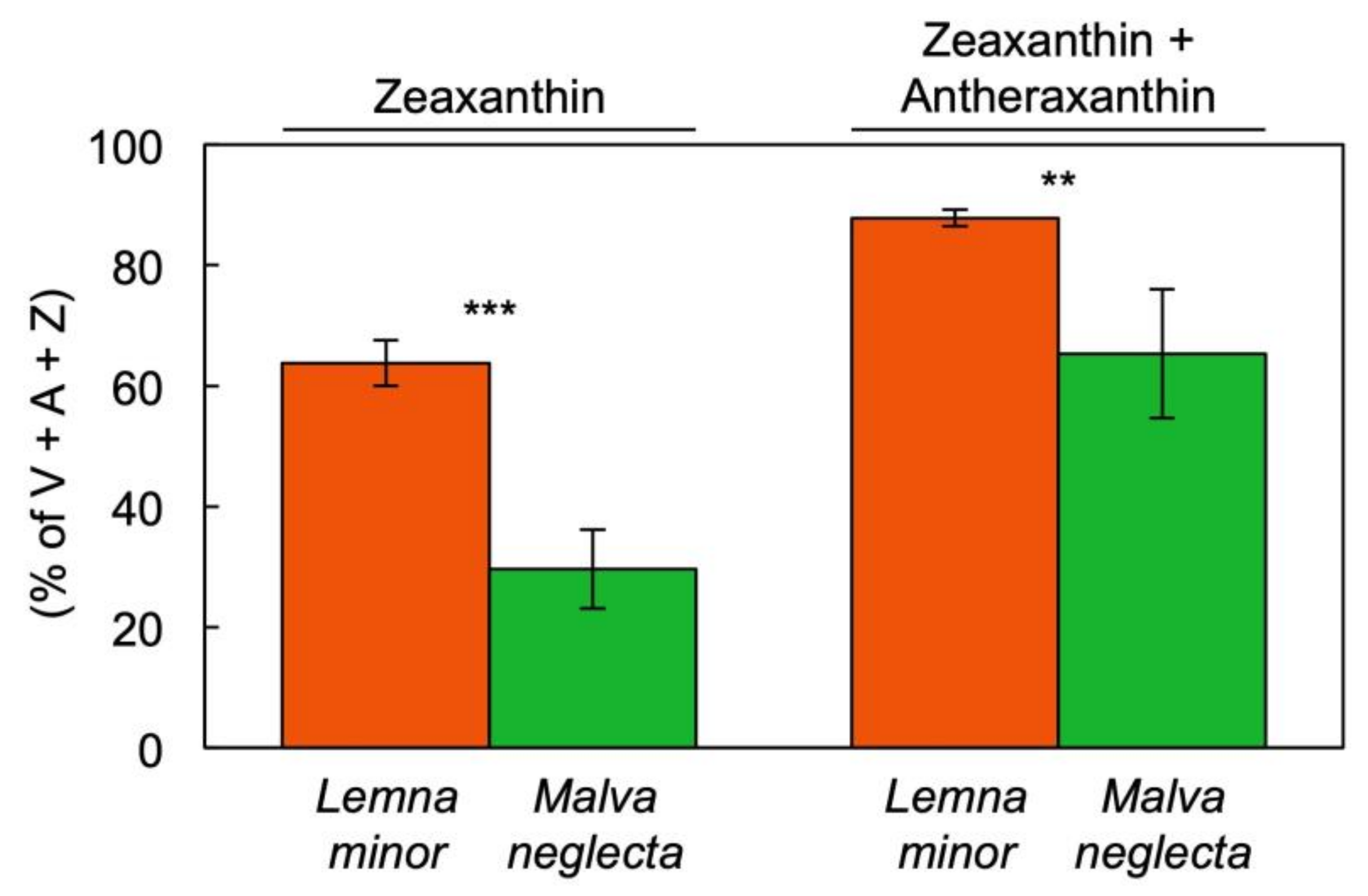 Cells 10 01481 g008 Cells 10 01481 g008