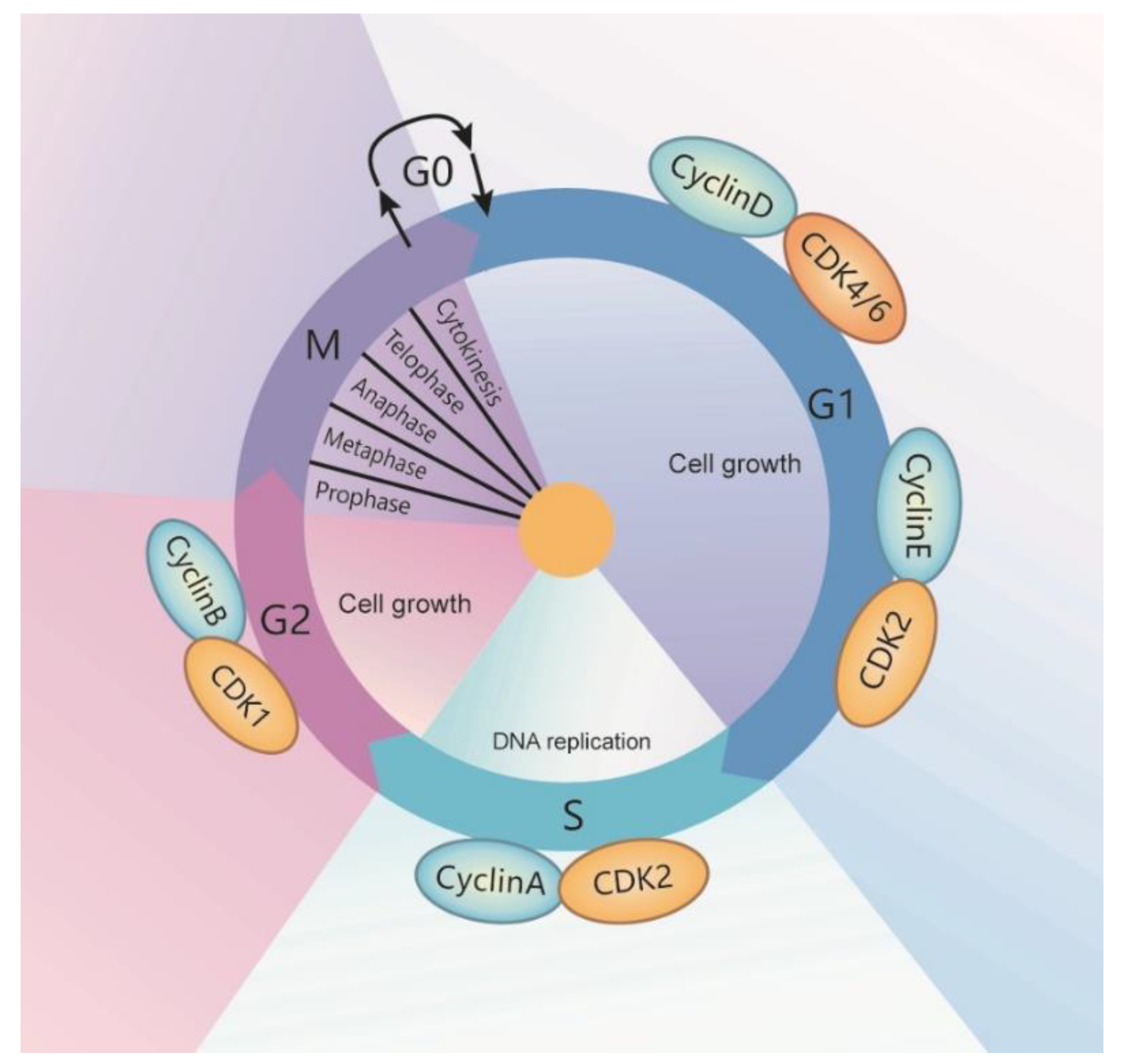 Cells 10 01540 g001 Cells 10 01540 g001