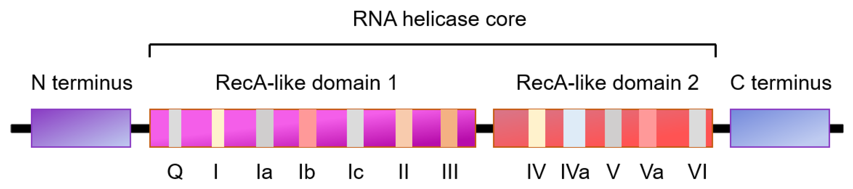 Cells 10 01540 g002 Cells 10 01540 g002