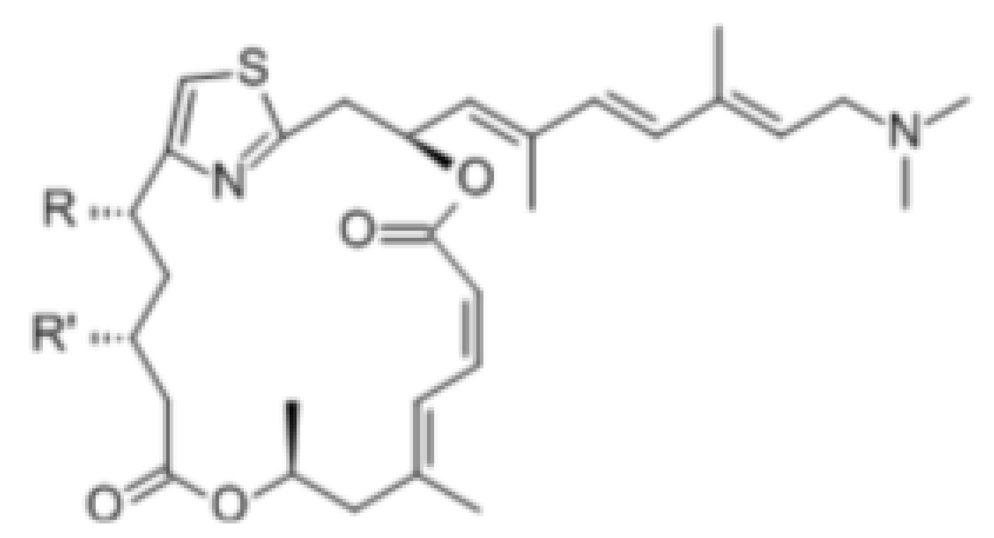 Cells 10 01540 i008 Cells 10 01540 i008