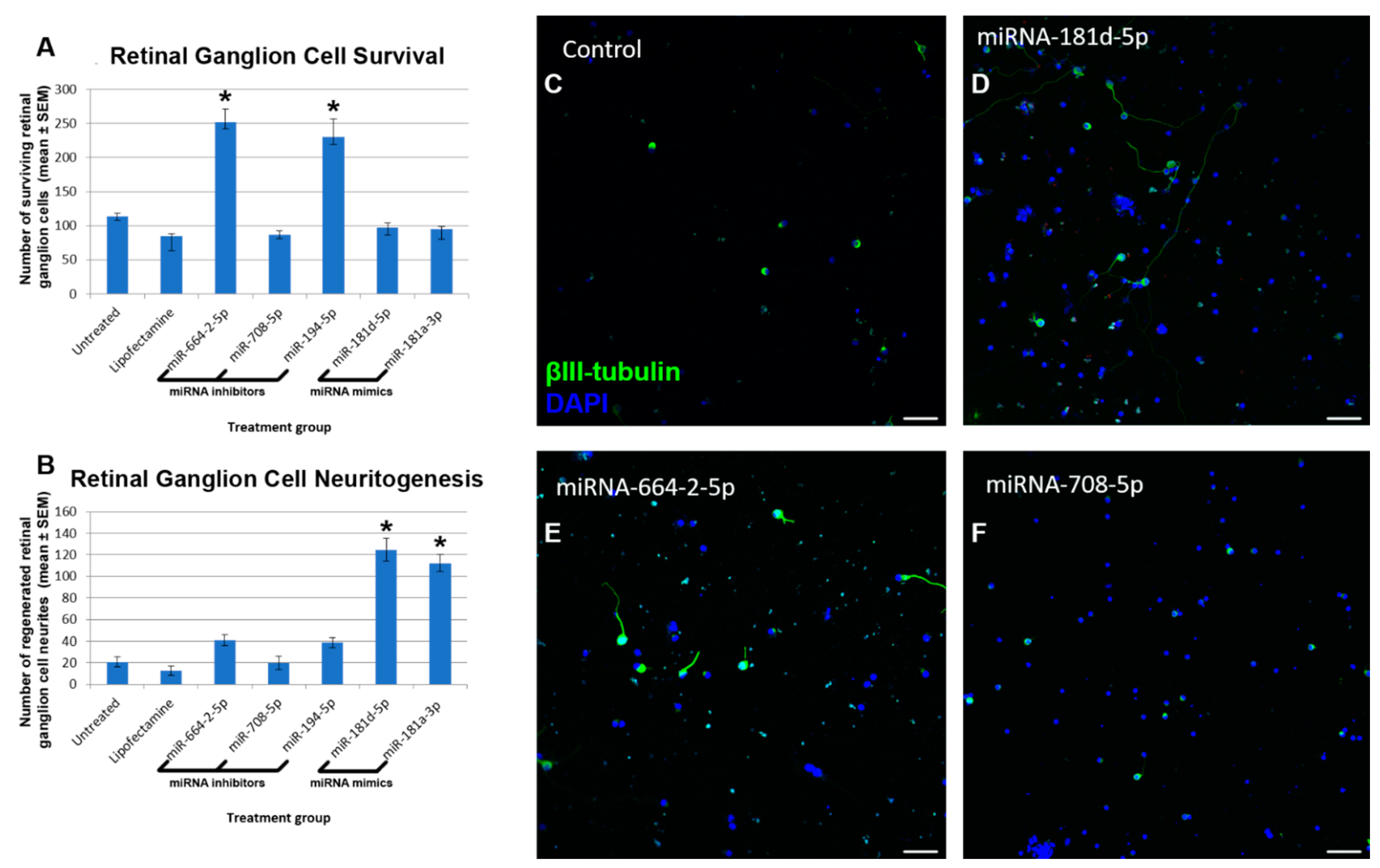 Cells 10 01564 g005 Cells 10 01564 g005