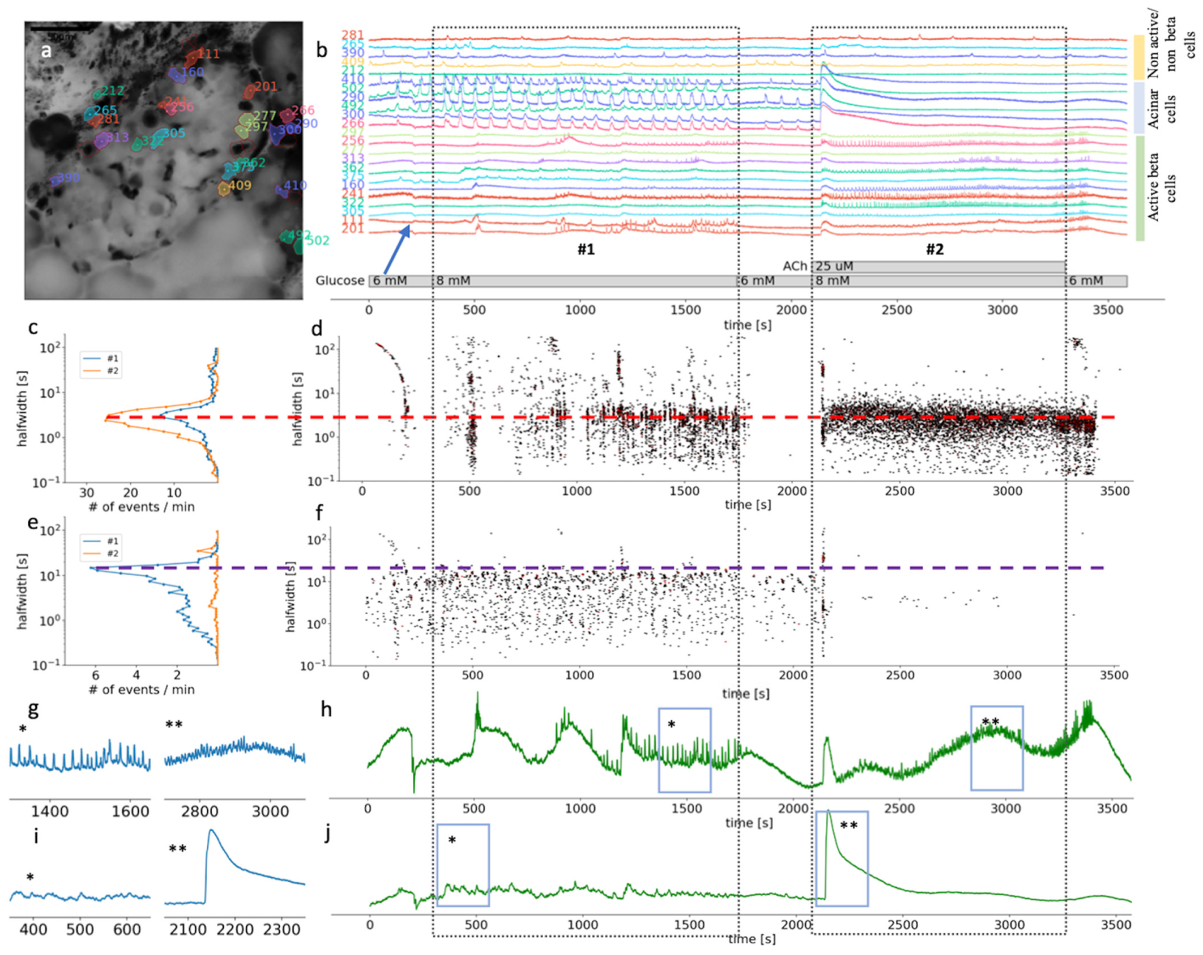Cells 10 01580 g003 Cells 10 01580 g003