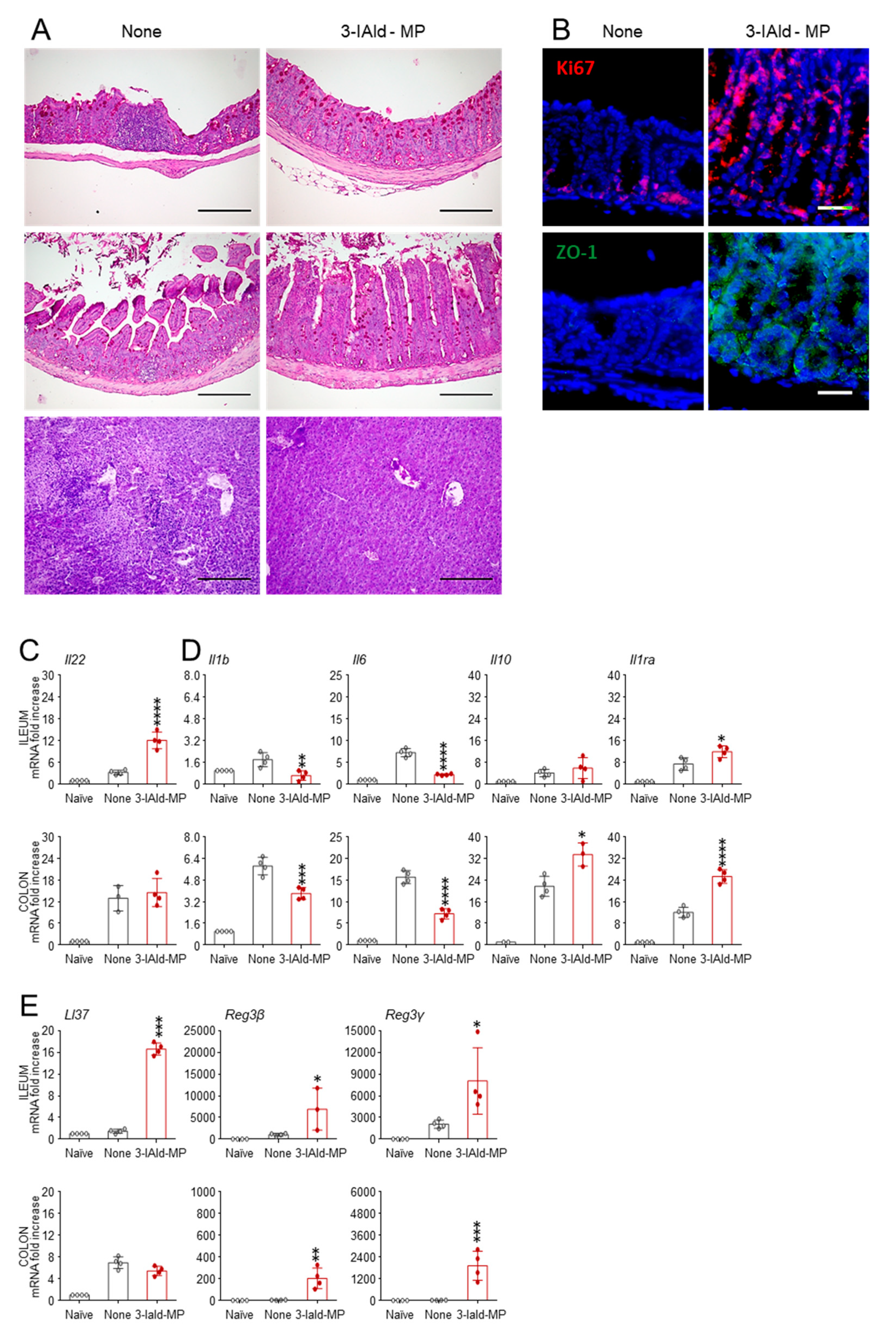 Cells 10 01601 g004