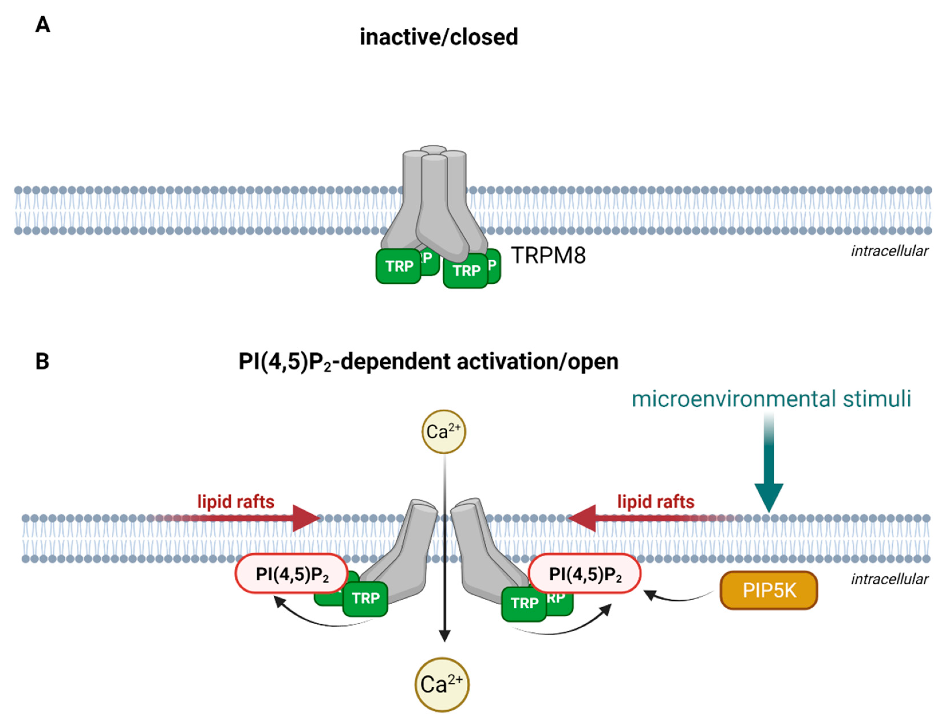 Cells 10 01654 g001 Cells 10 01654 g001