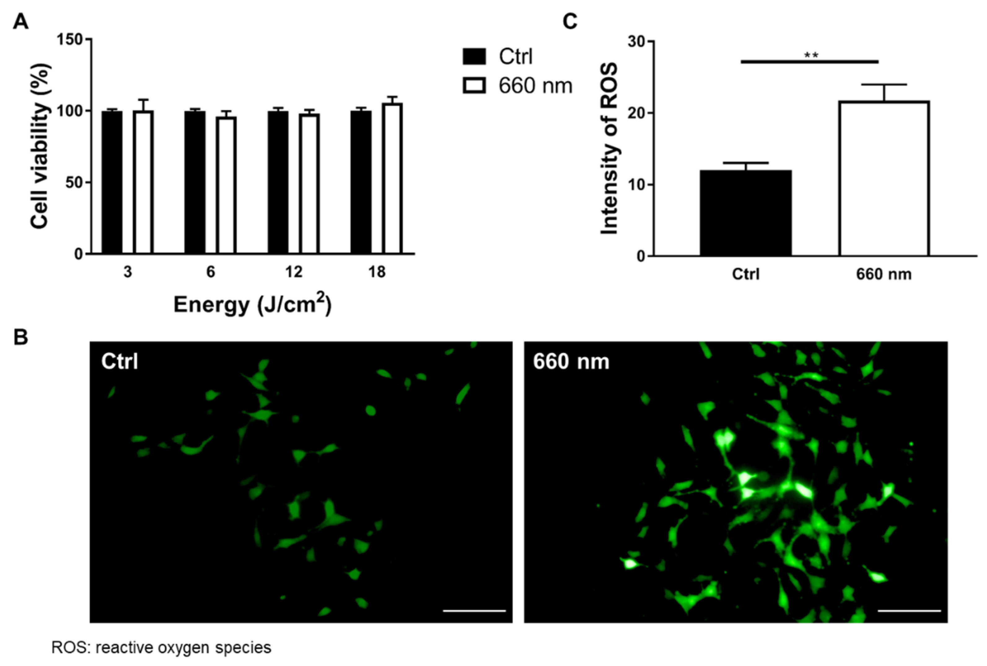 Cells 10 01664 g003