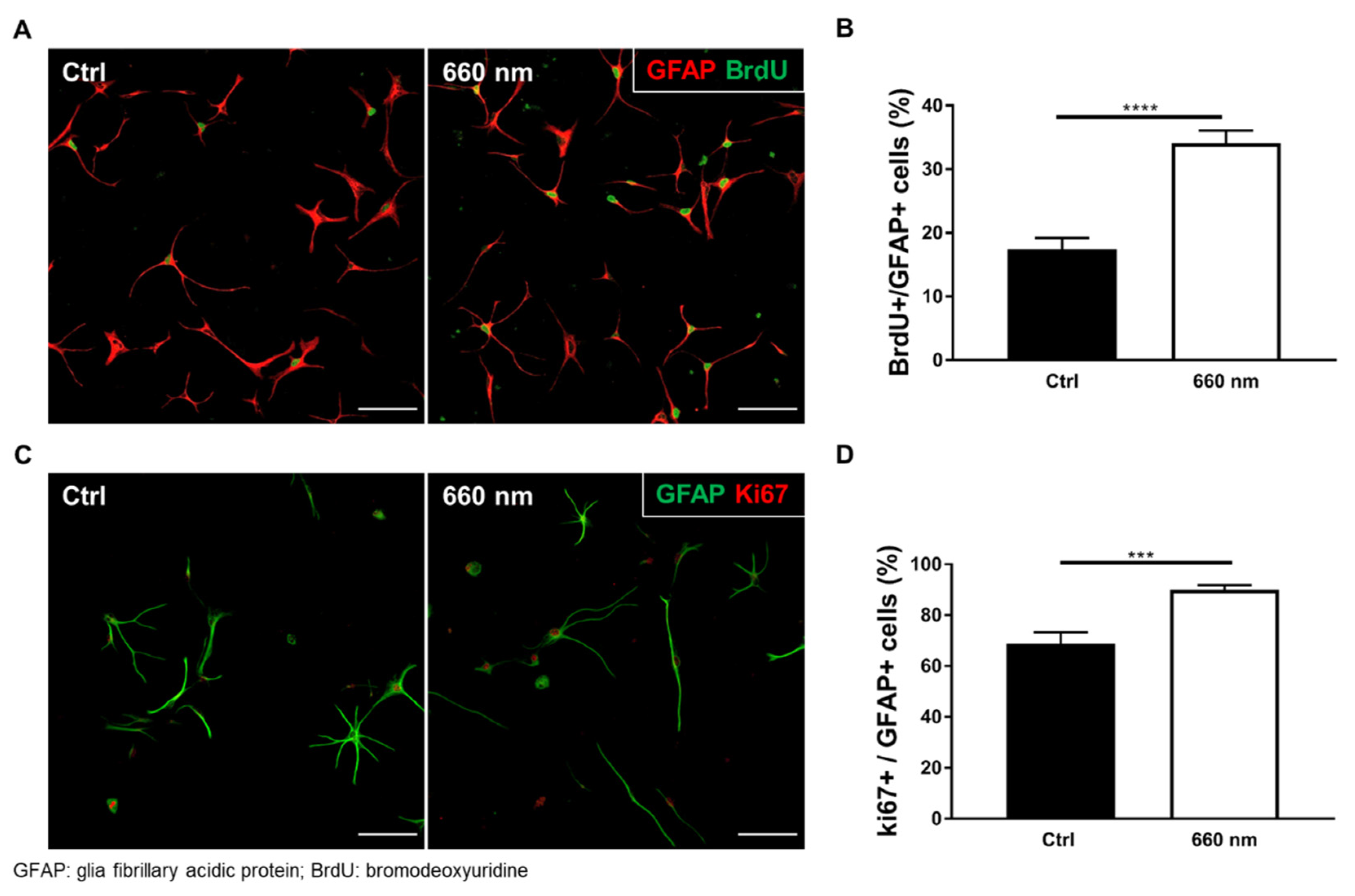 Cells 10 01664 g004