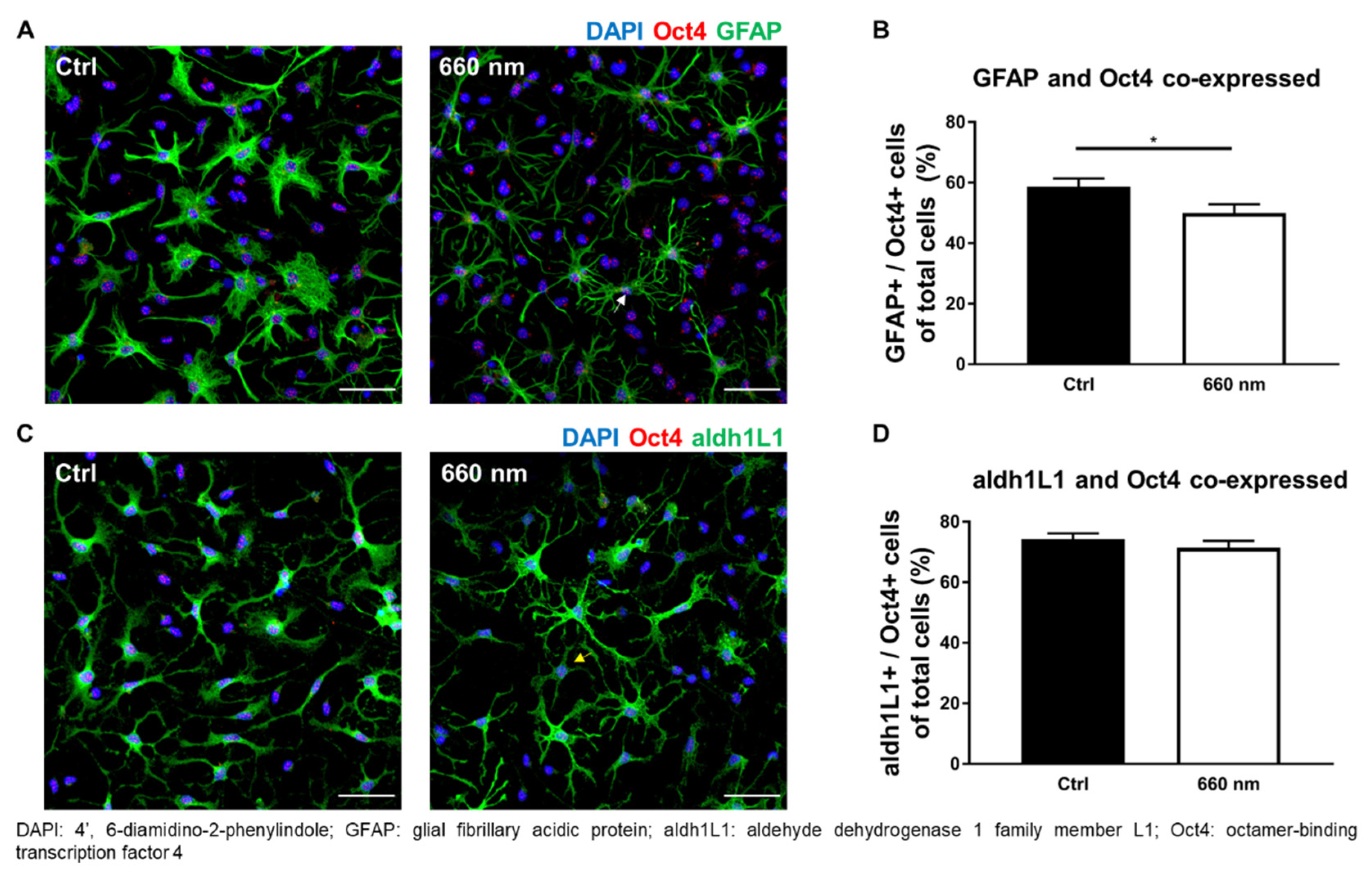 Cells 10 01664 g005
