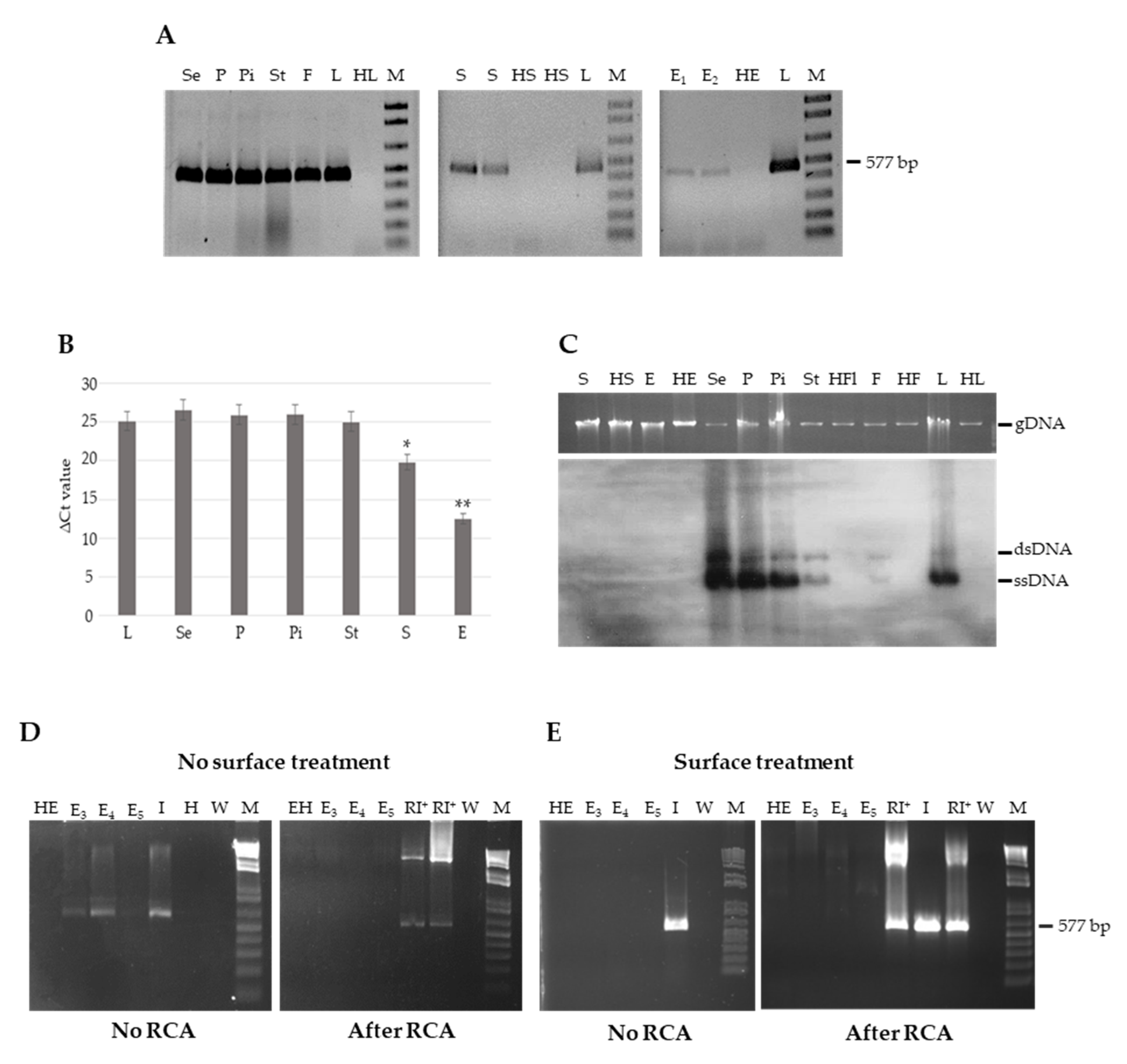 Cells 10 01673 g003