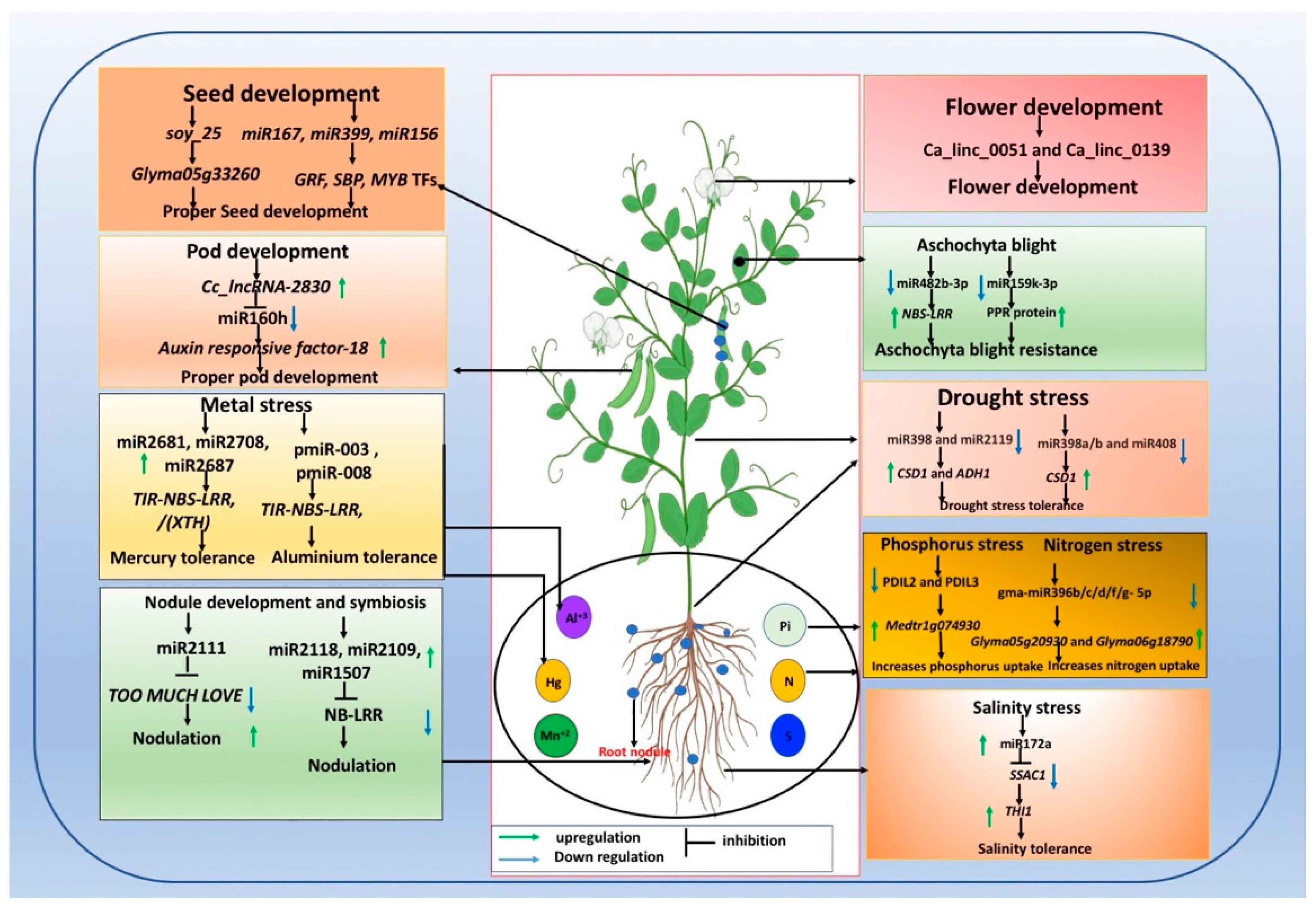 Cells 10 01674 g002 Cells 10 01674 g002