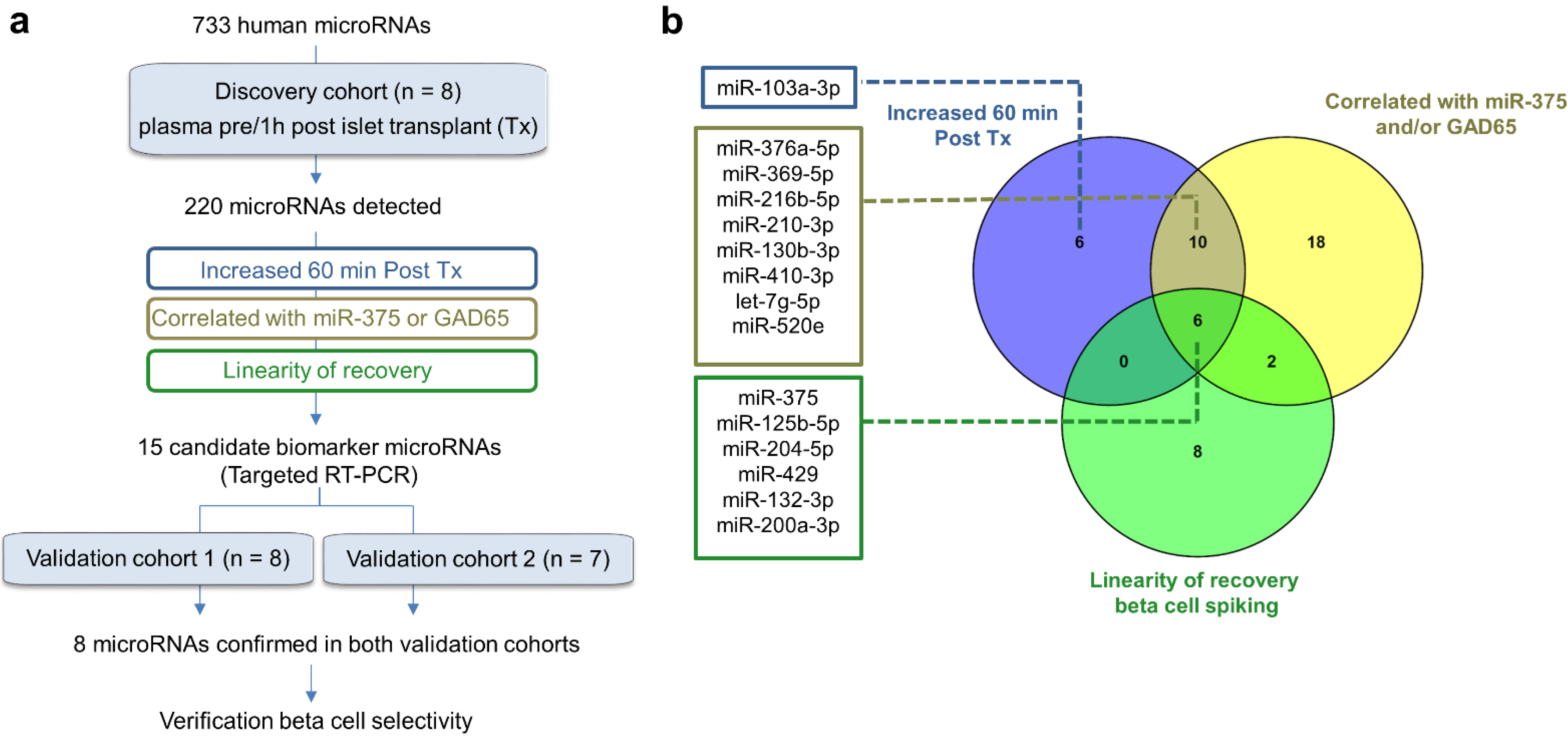 Cells 10 01693 g001 Cells 10 01693 g001