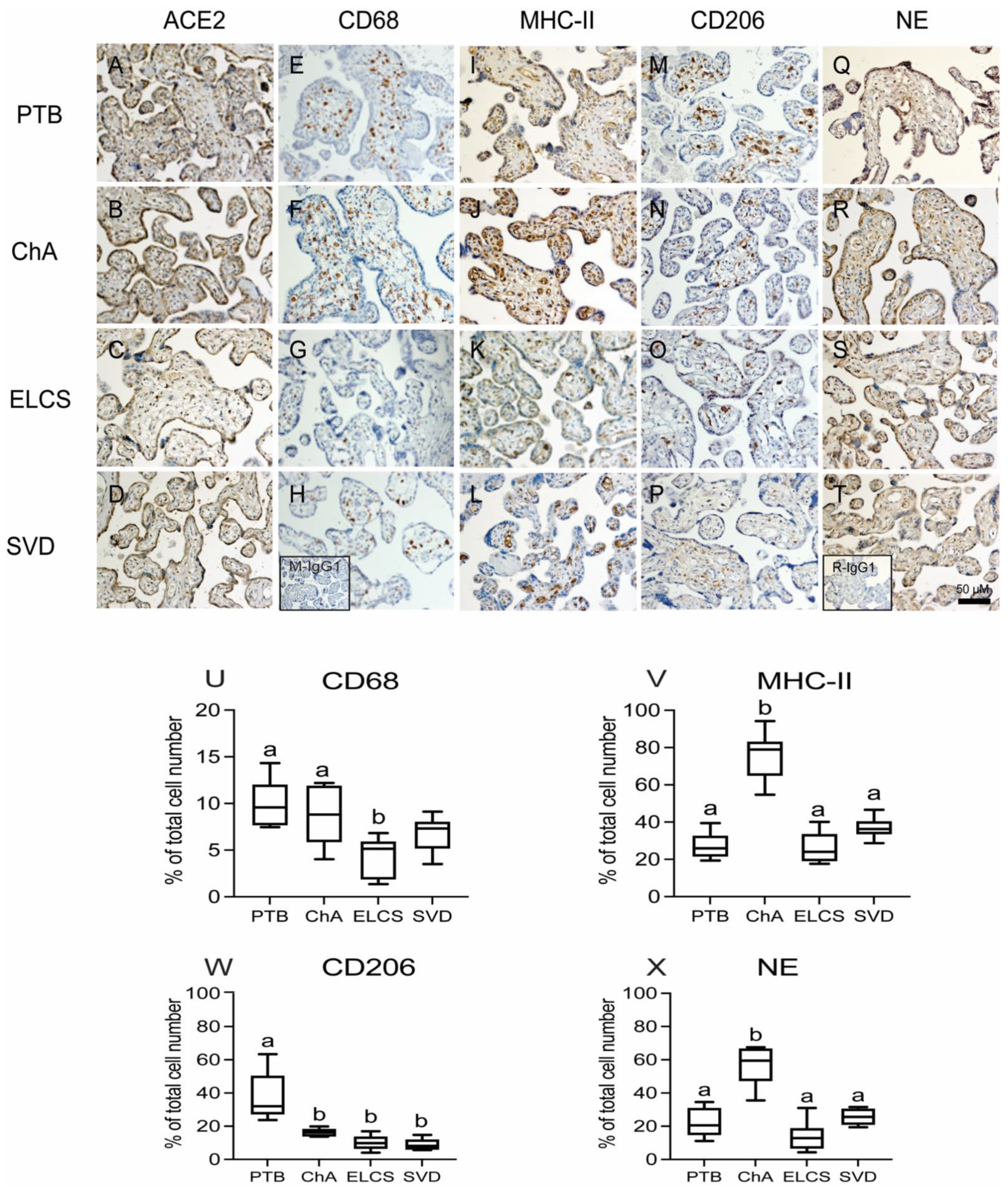 Cells 10 01724 g005 Cells 10 01724 g005