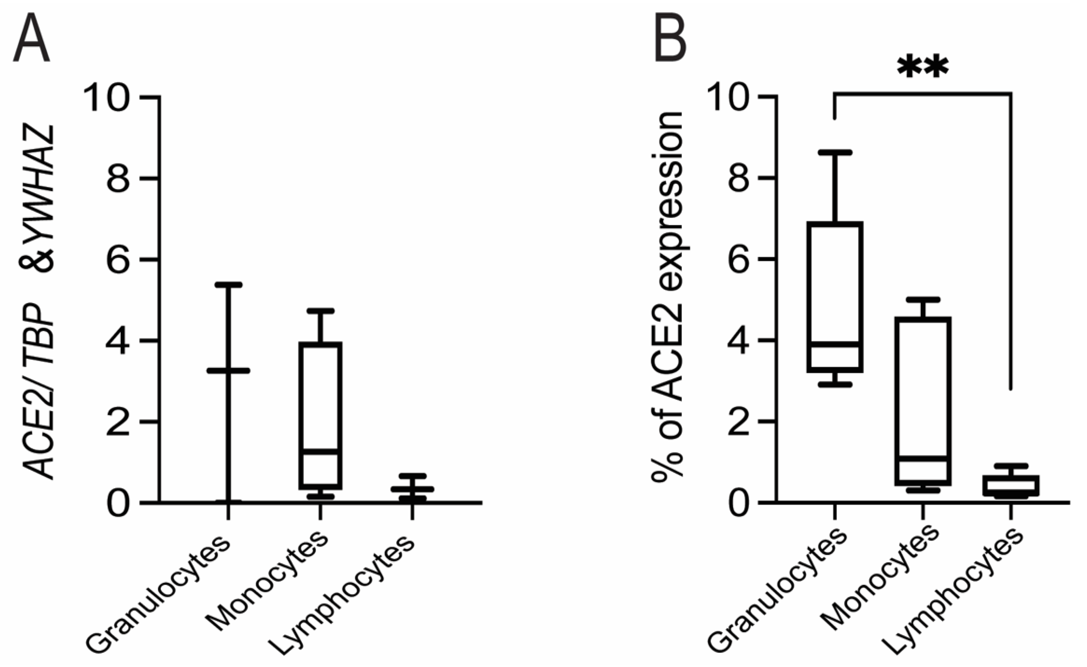 Cells 10 01724 g007 Cells 10 01724 g007