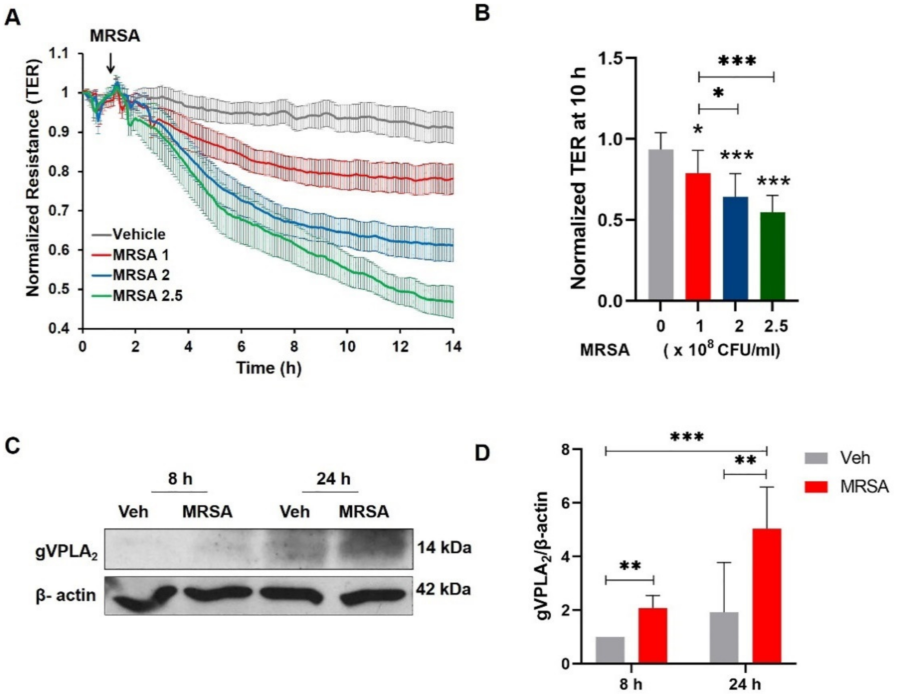 Cells 10 01731 g001 Cells 10 01731 g001