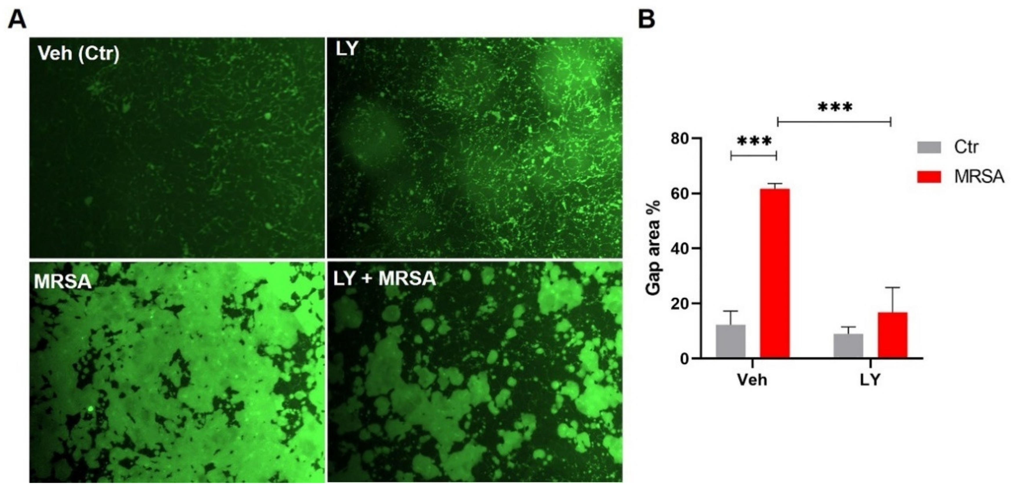 Cells 10 01731 g003 Cells 10 01731 g003