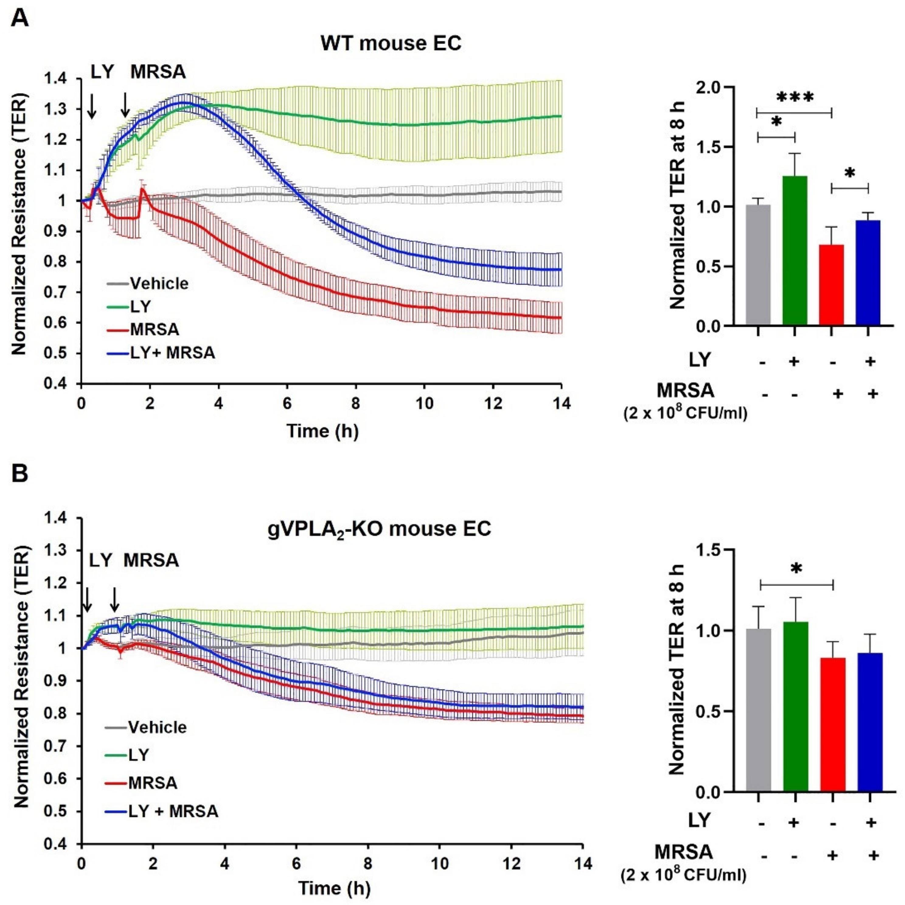 Cells 10 01731 g004 Cells 10 01731 g004