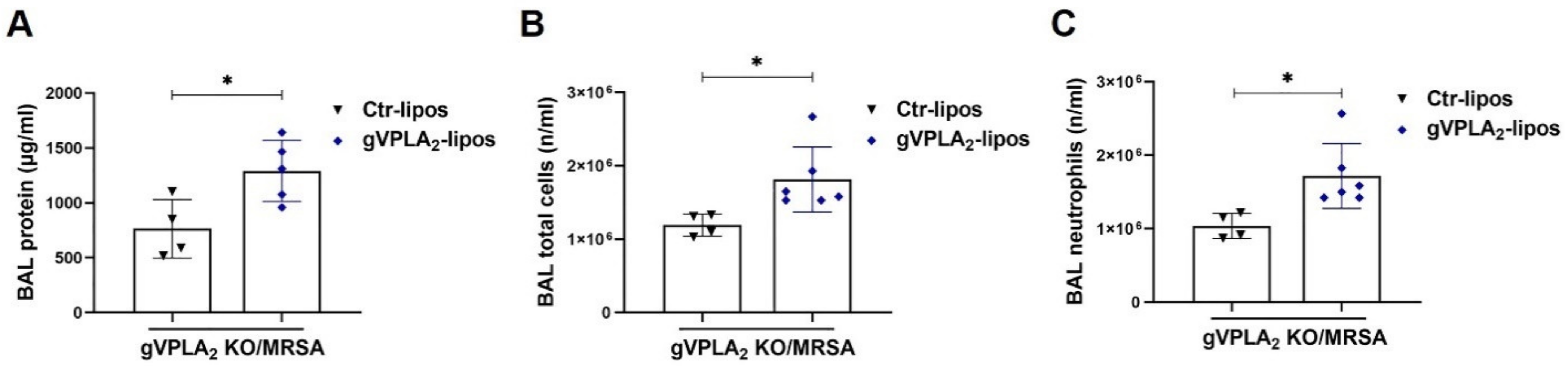 Cells 10 01731 g008 Cells 10 01731 g008
