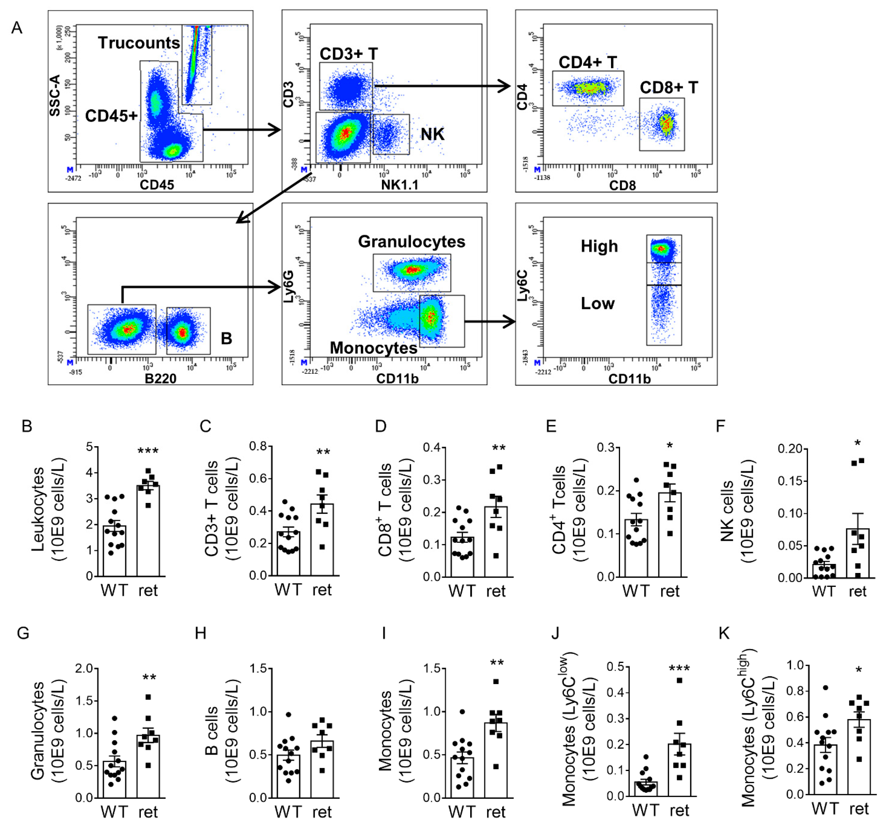 Cells 10 01746 g004 Cells 10 01746 g004