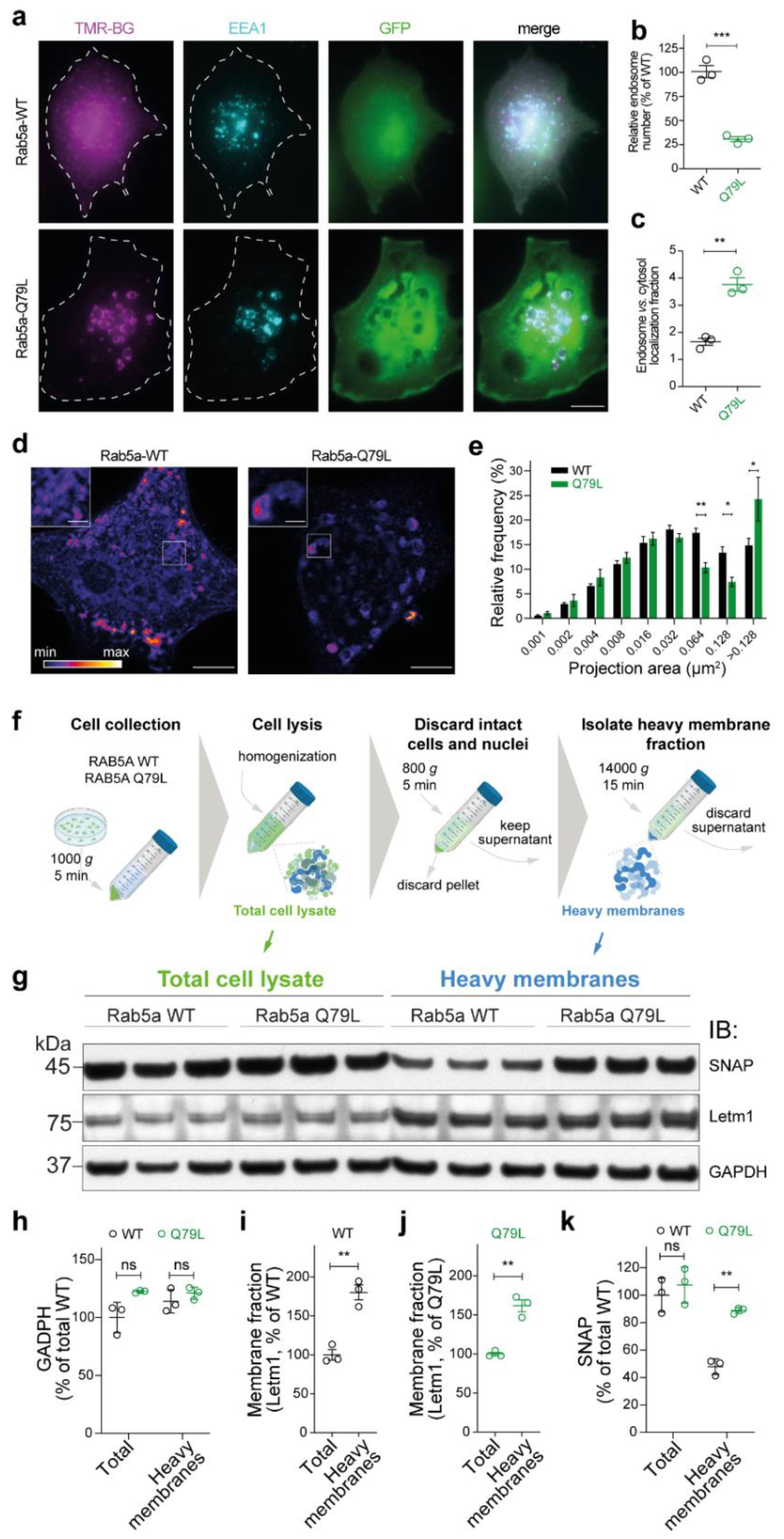 Cells 10 01747 g005 Cells 10 01747 g005