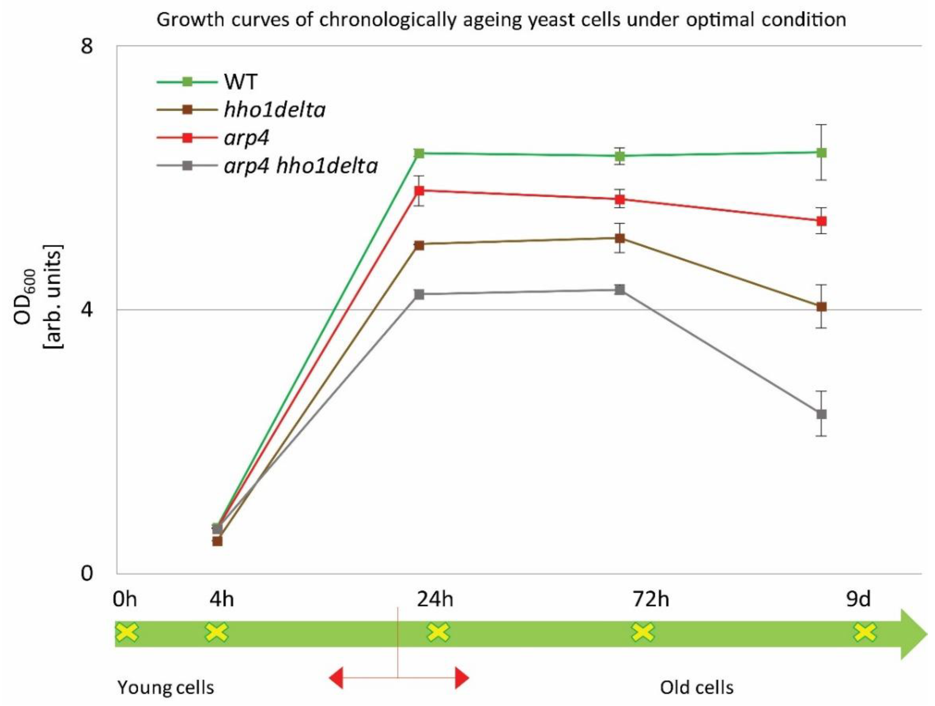 Cells 10 01755 g001 Cells 10 01755 g001