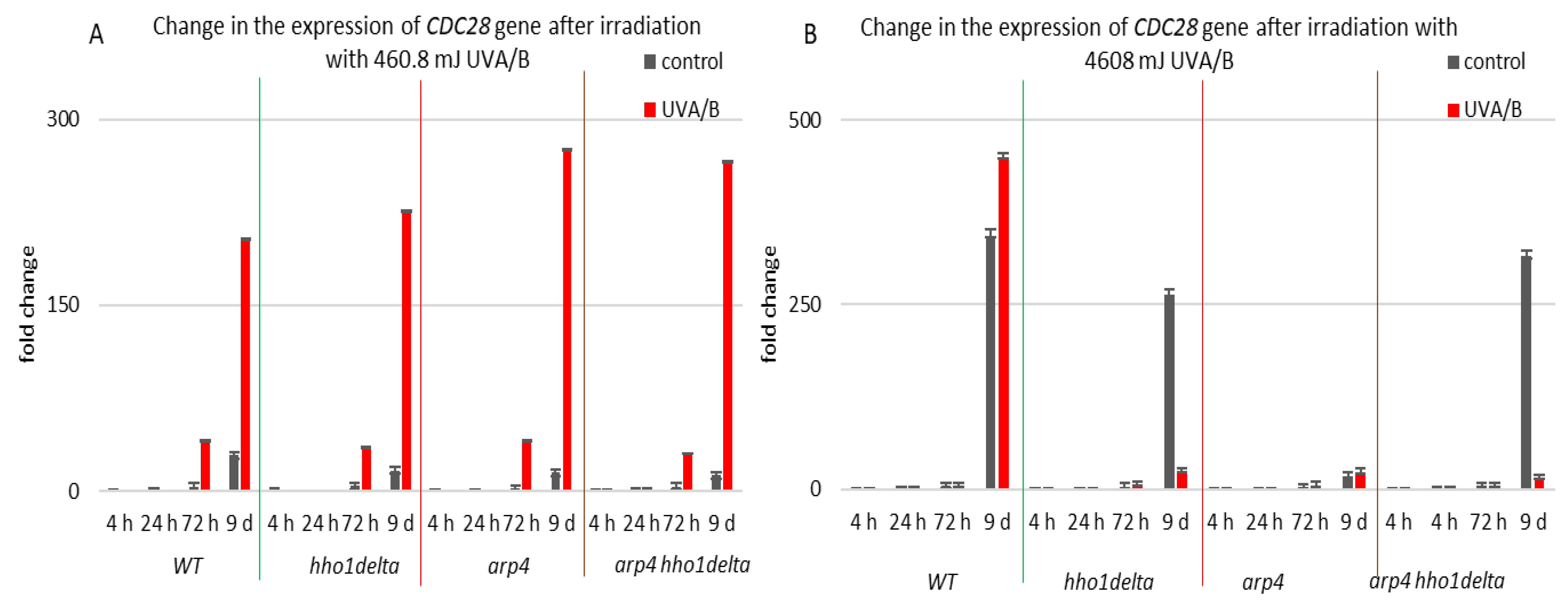Cells 10 01755 g009 Cells 10 01755 g009