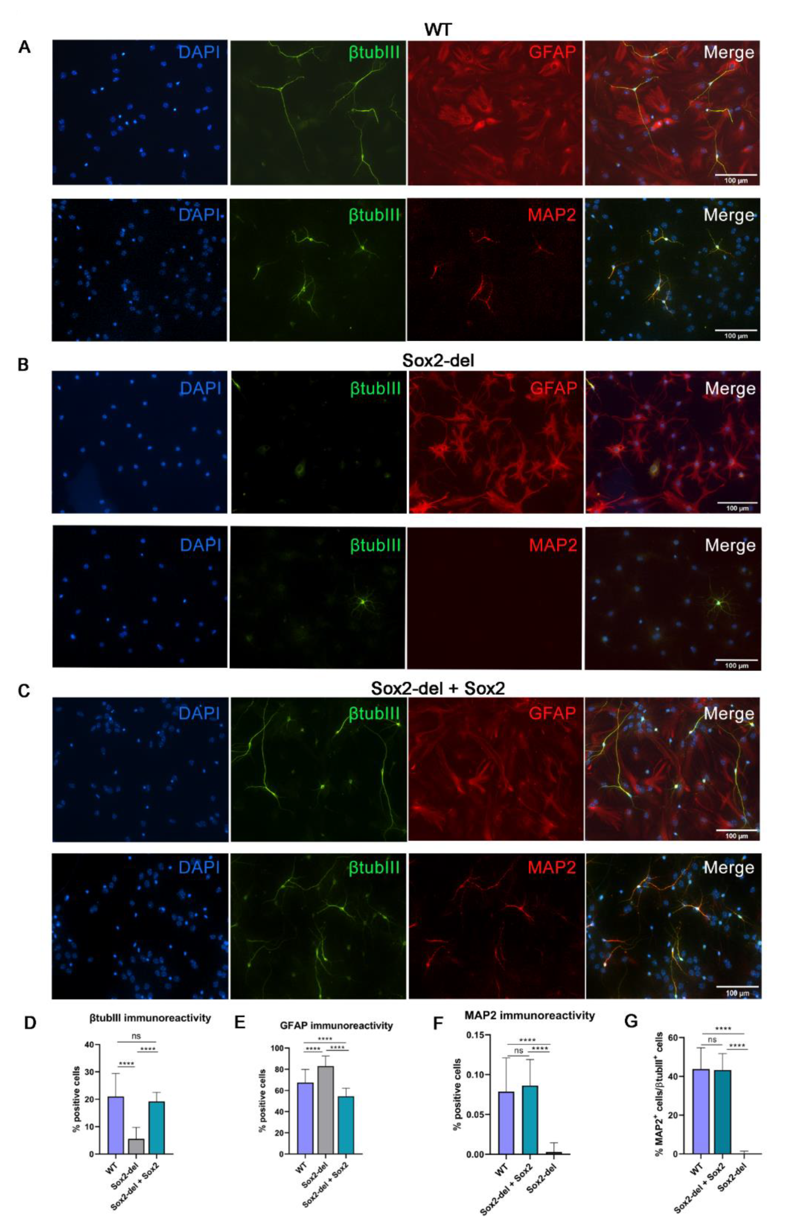 Cells 10 01757 g001 Cells 10 01757 g001
