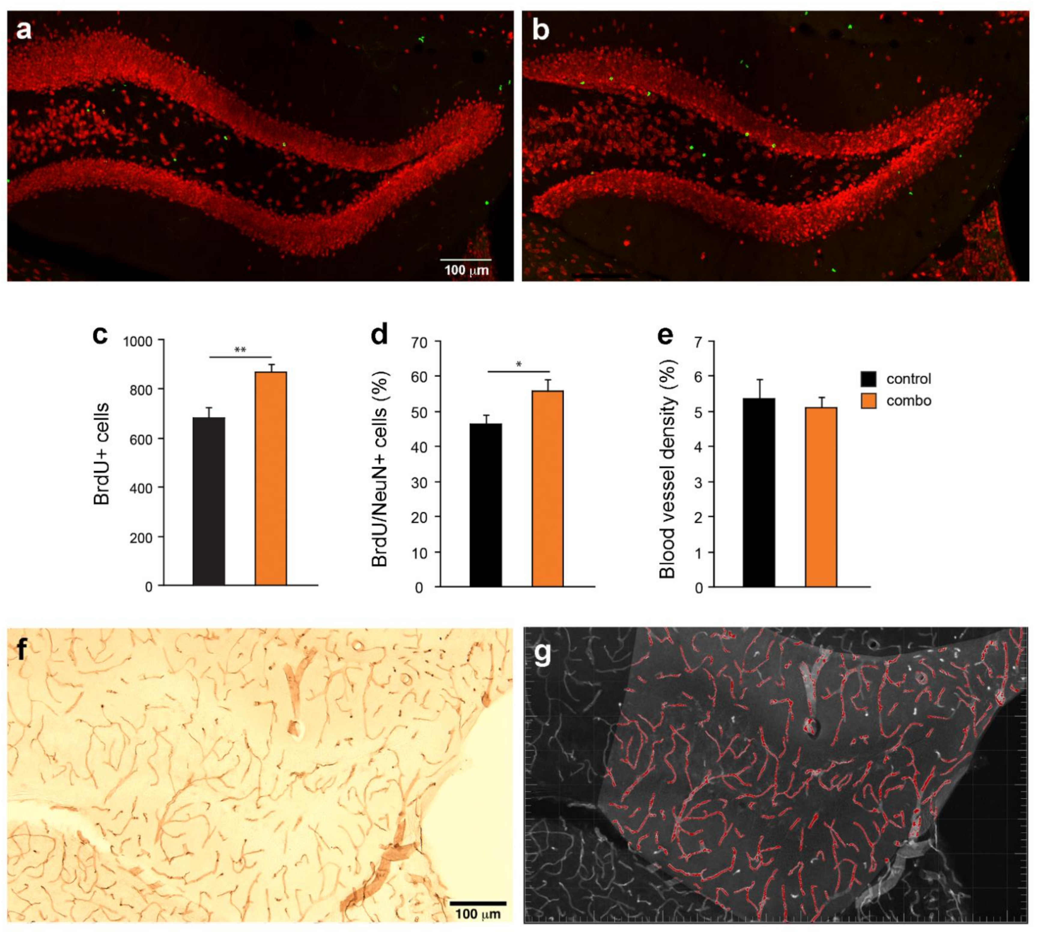 Cells 10 01778 g002
