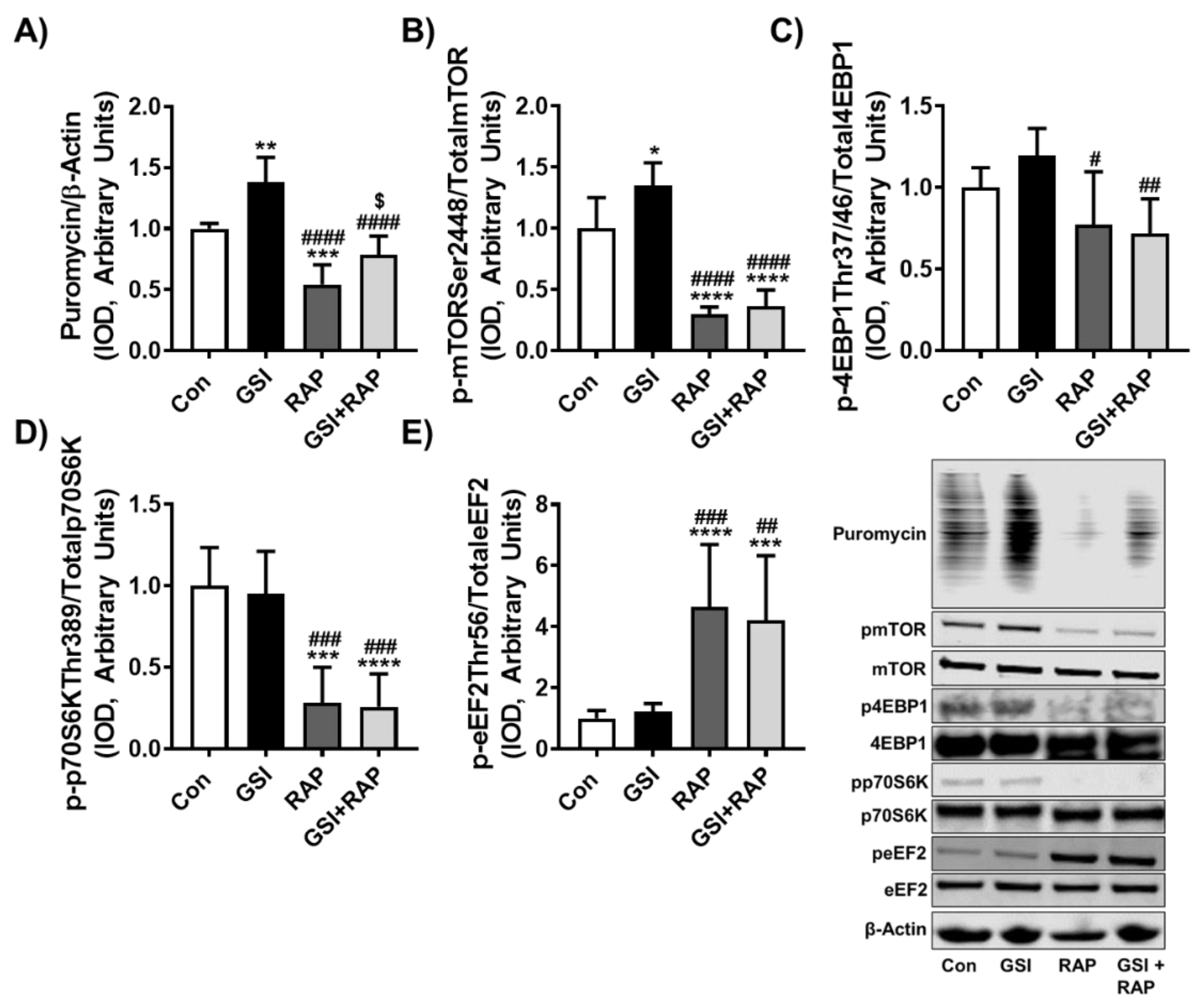 Cells 10 01786 g002