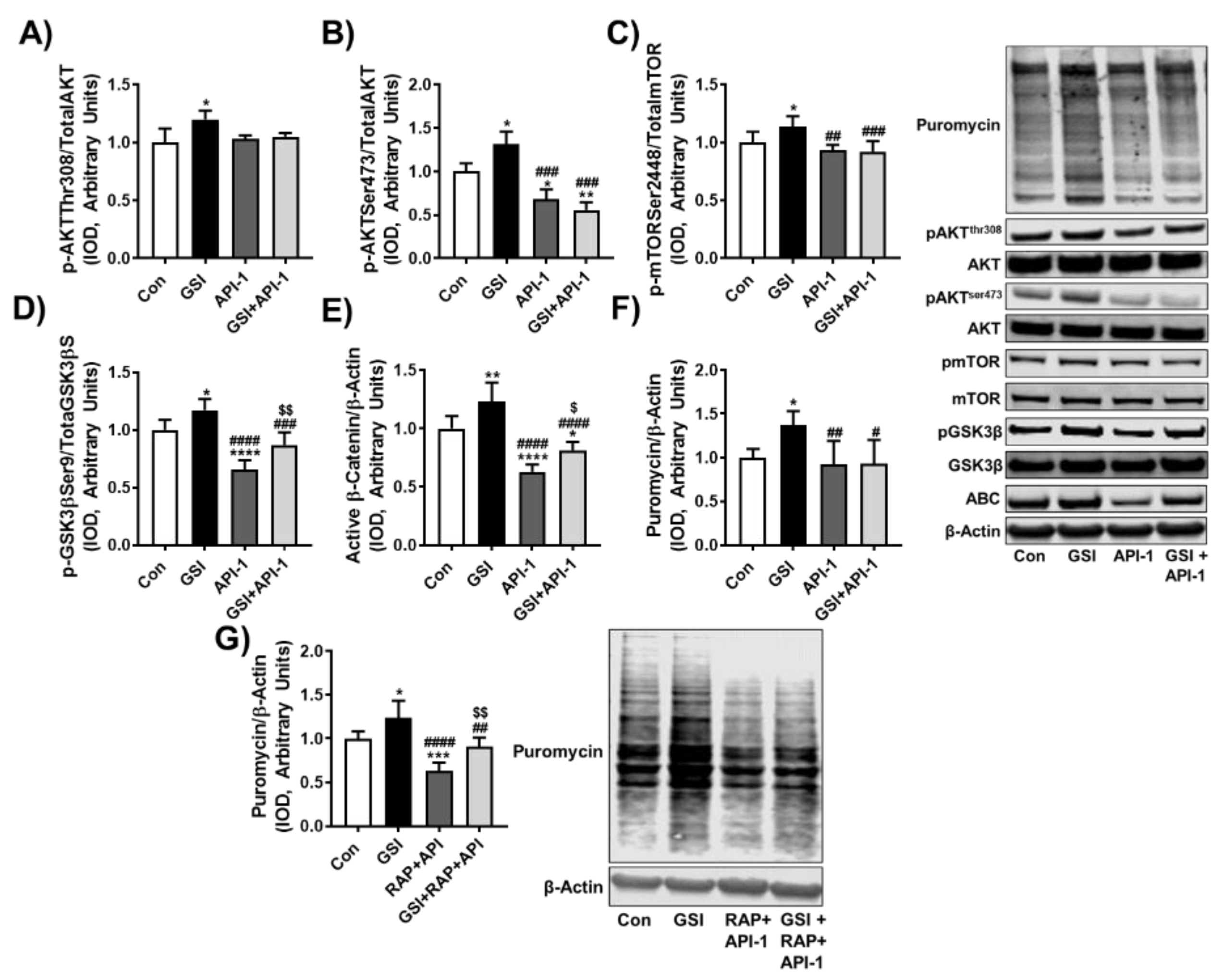Cells 10 01786 g004
