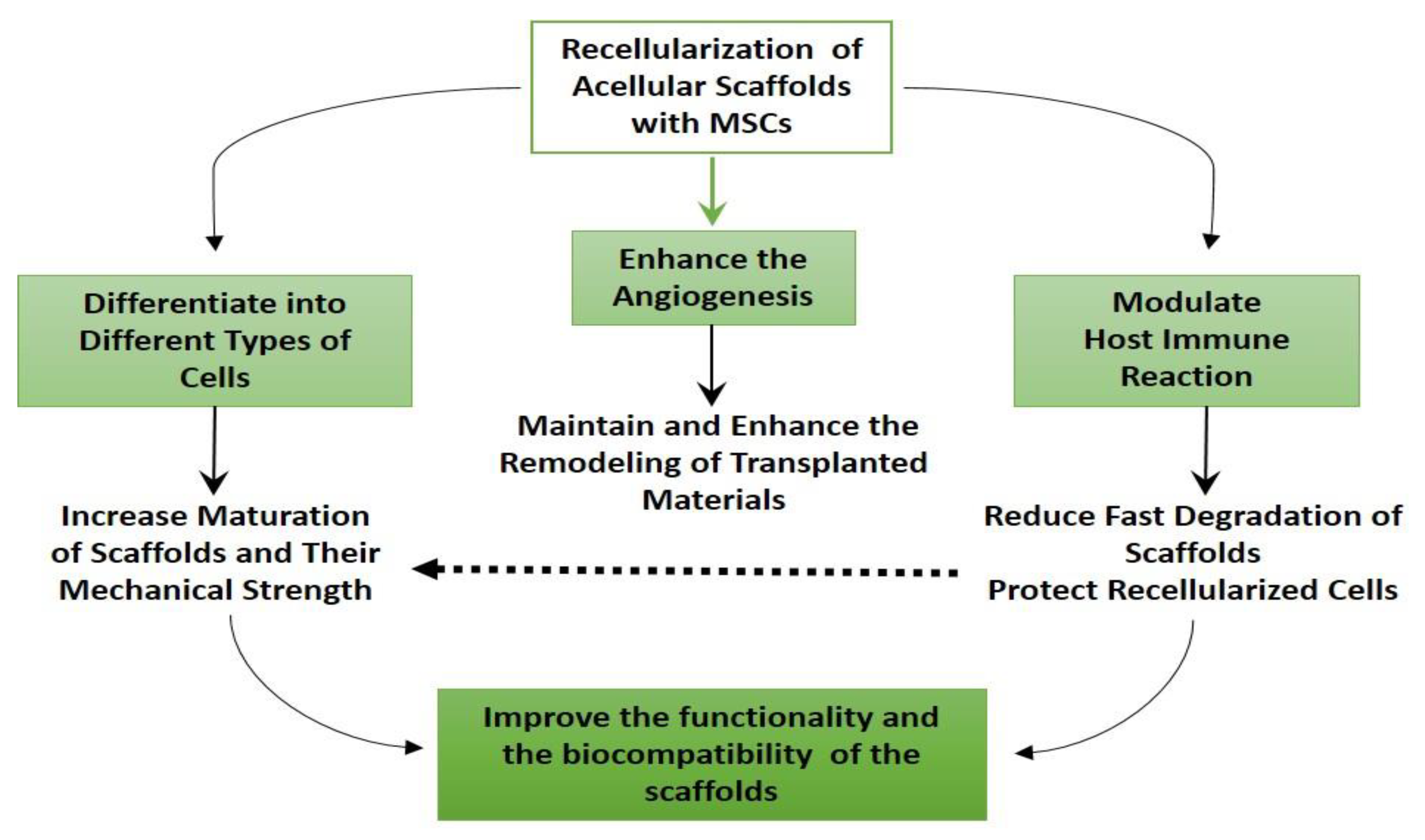Cells 10 01787 g001 Cells 10 01787 g001